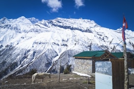 A stunning view of snow-capped mountains under a vivid blue sky, with a rustic wooden building in the foreground. A horse stands nearby surrounded by nature. There is a small graffitied structure with the words 'Save Himalayas' and a flagpole displaying a red flag.