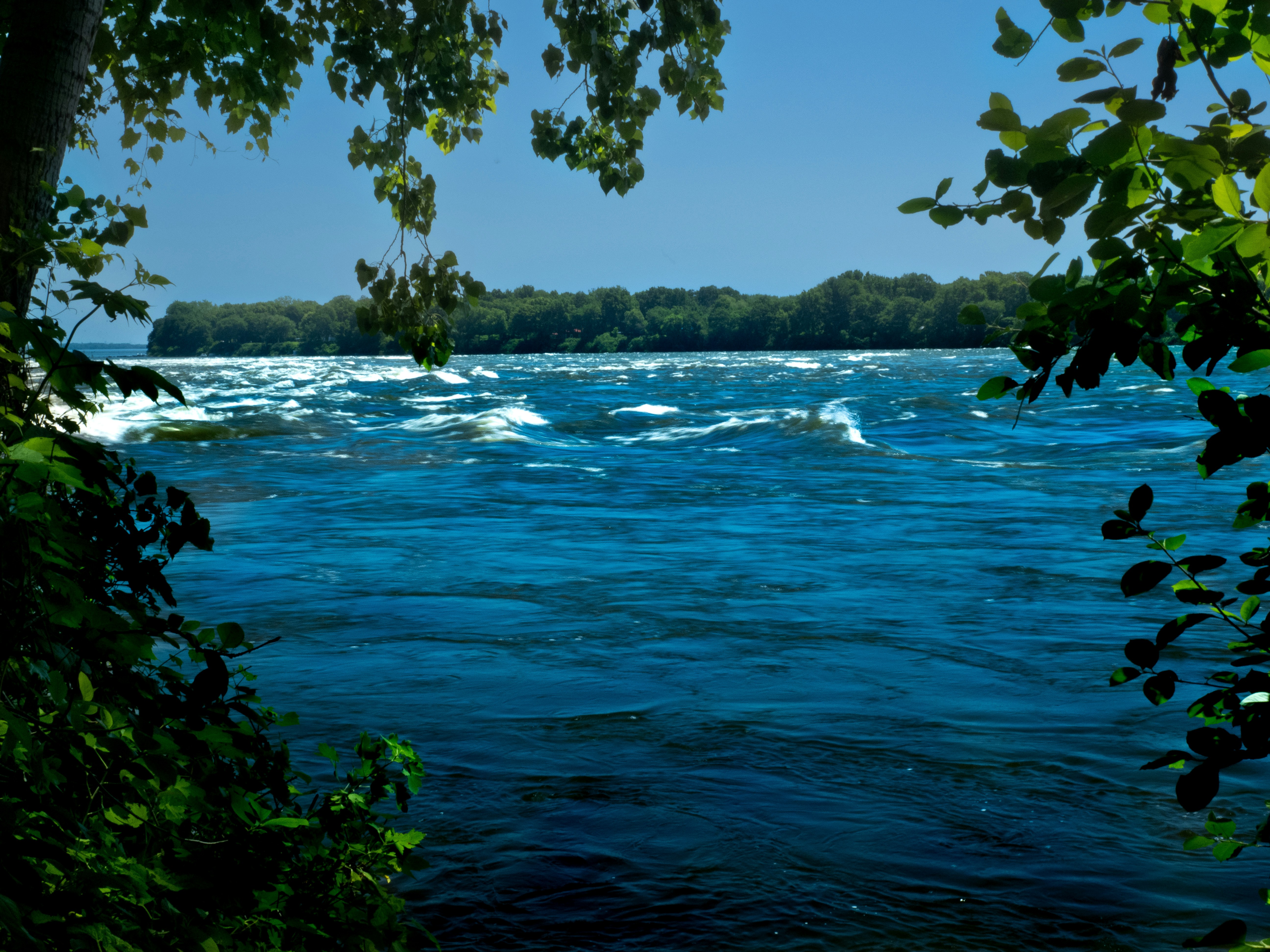 a body of water with trees in the background