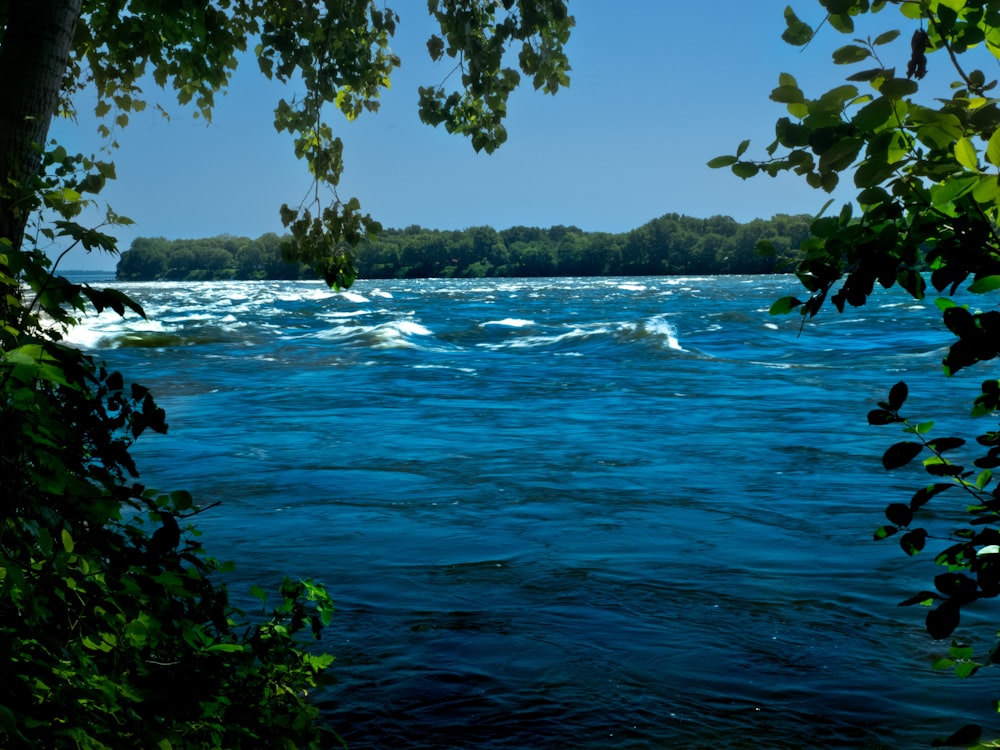 a body of water with trees in the background