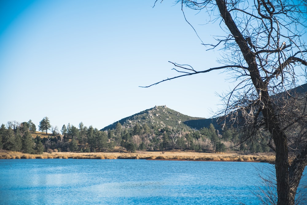 a body of water with a mountain in the background