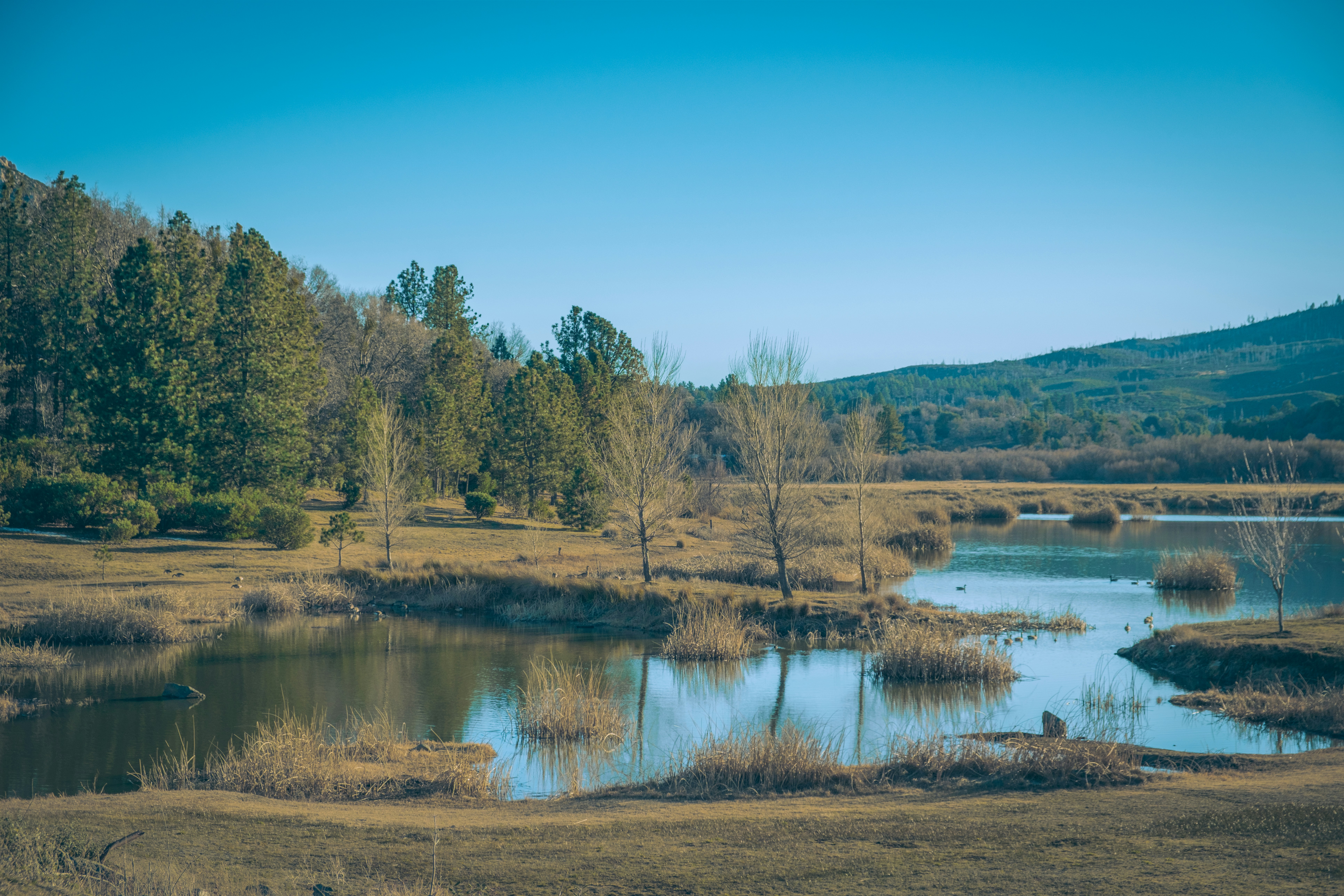 Photo by april_vasquez