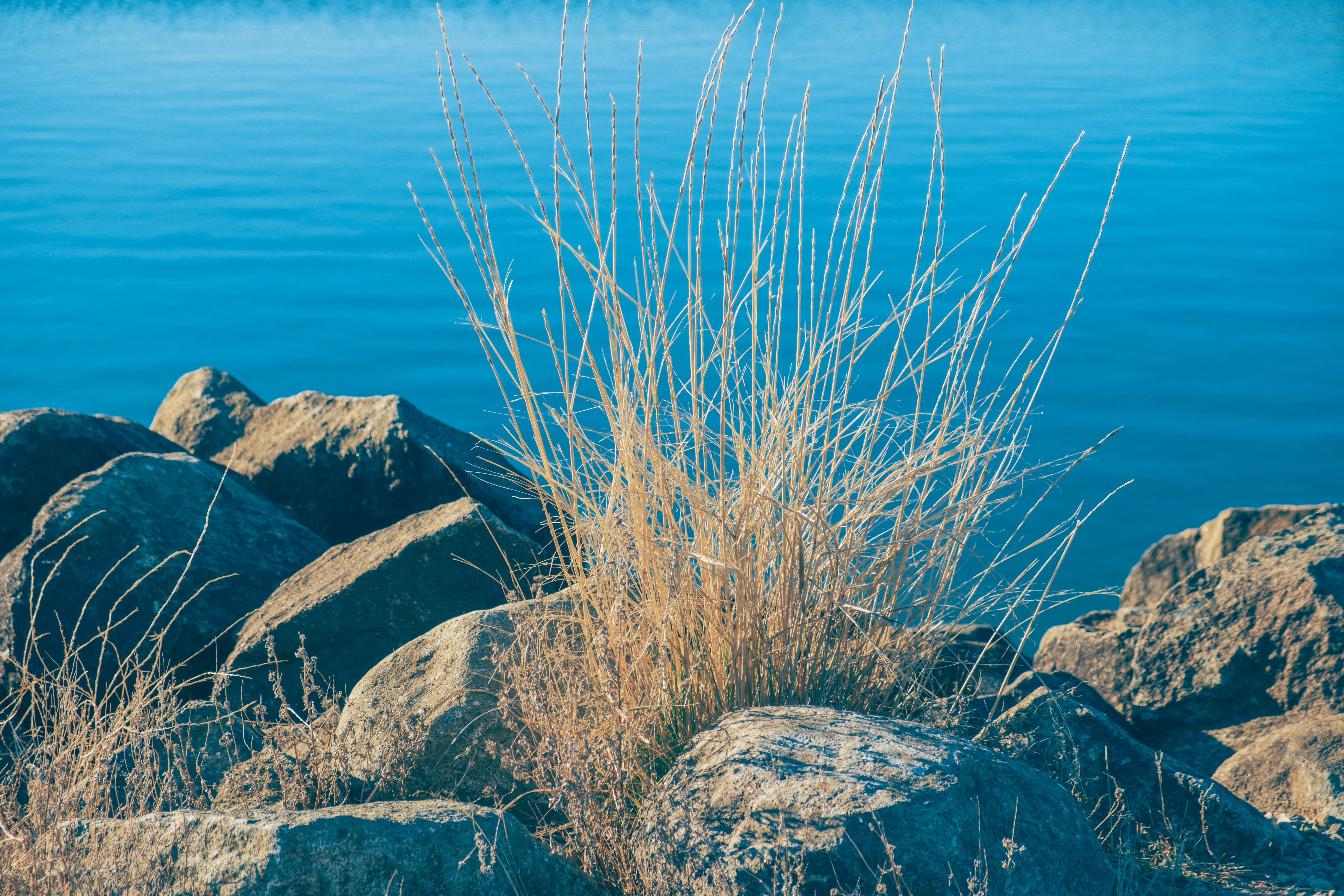 Photo by april_vasquez