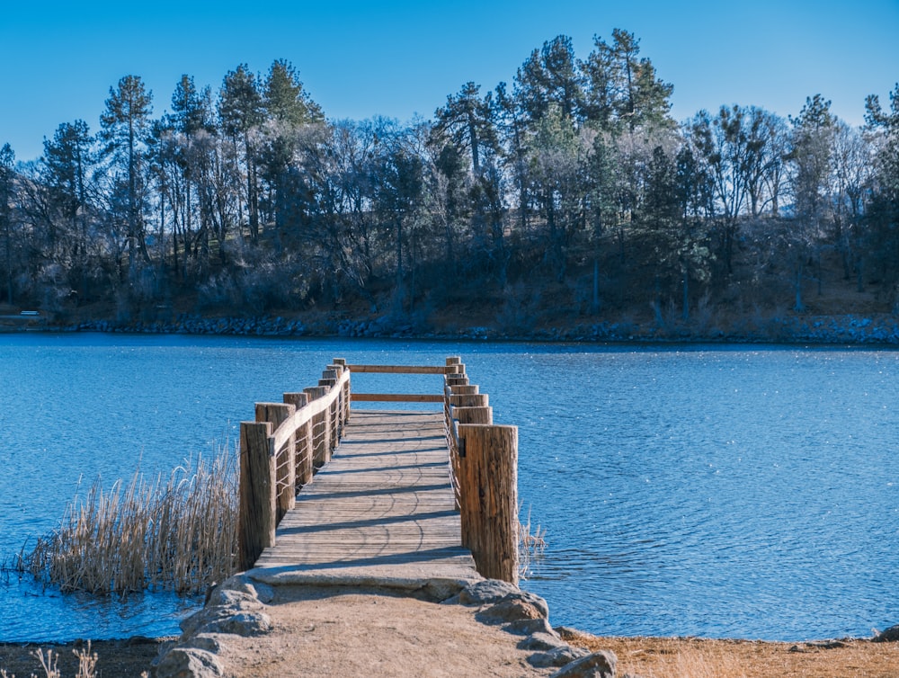 a wooden dock sitting on top of a lake next to a forest