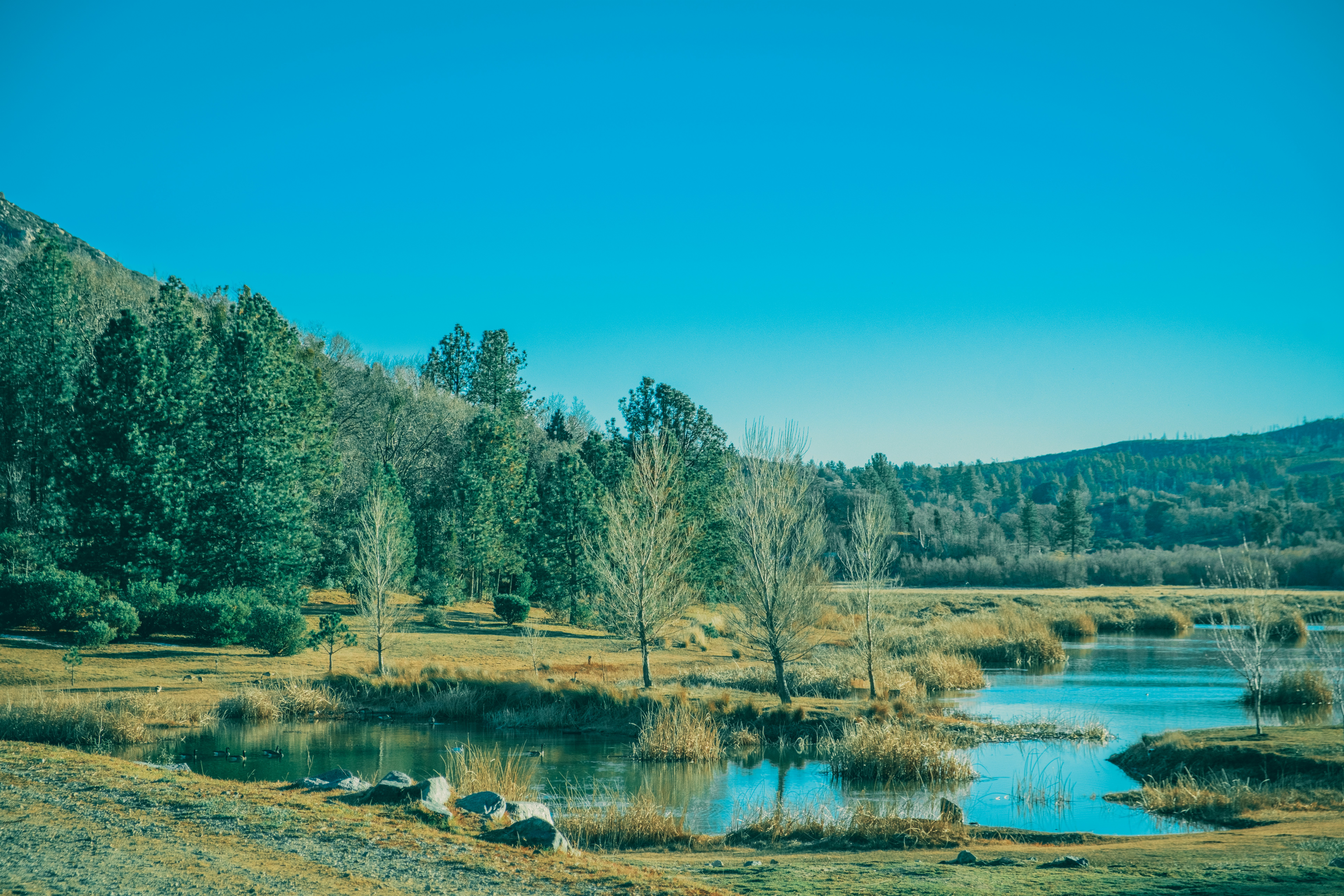 Photo by april_vasquez