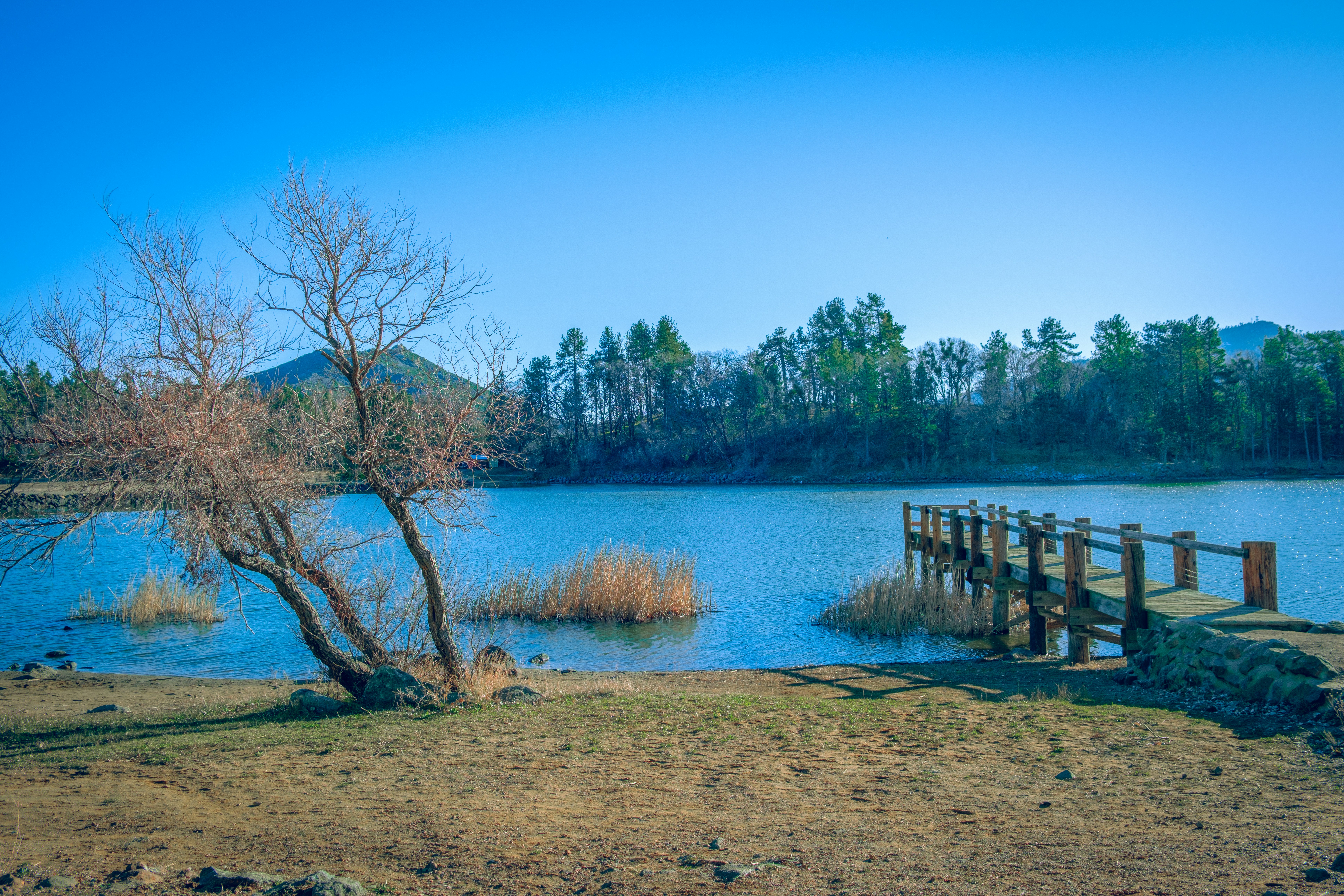 Photo by april_vasquez