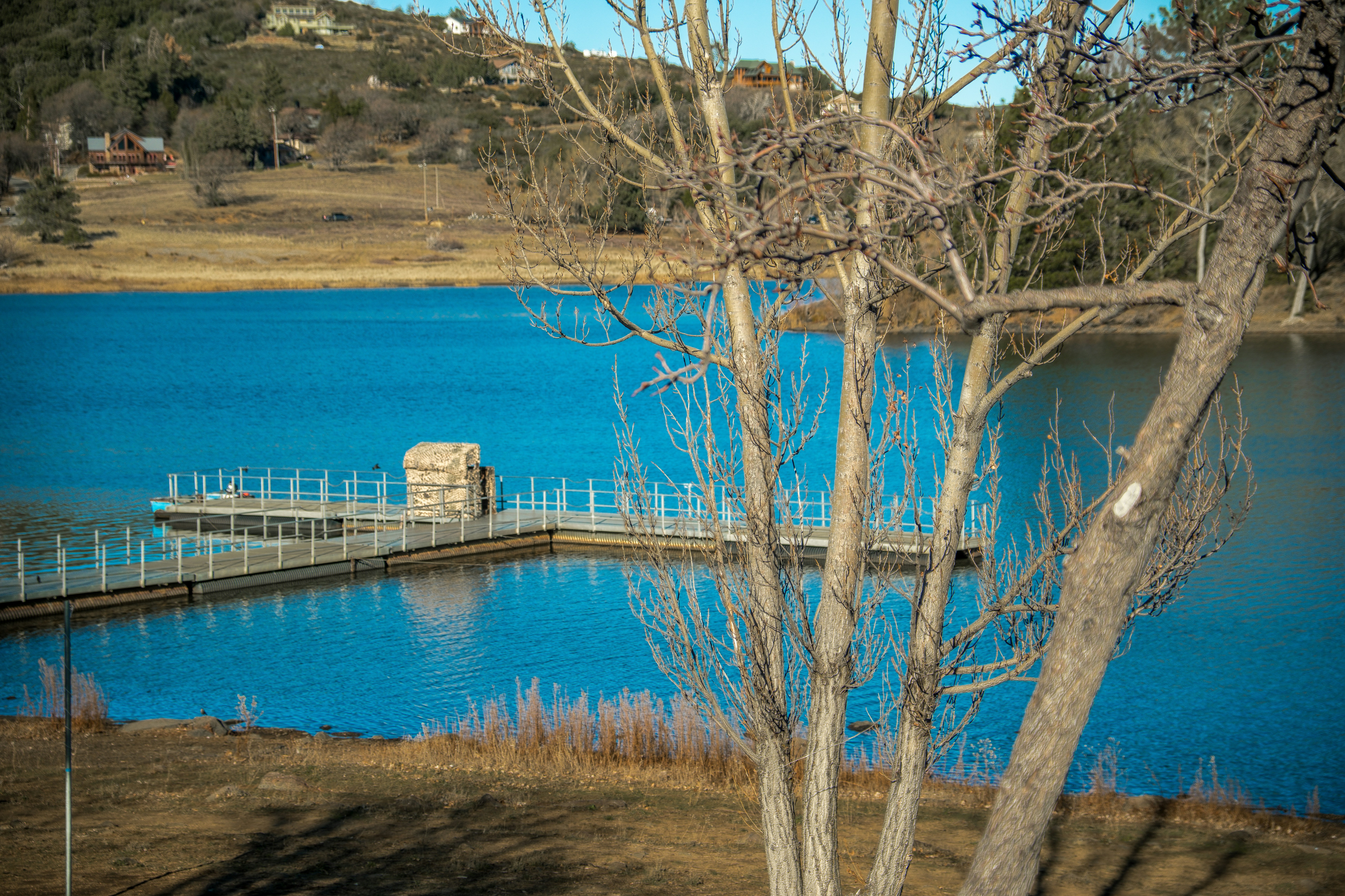 Reunion Trails Park