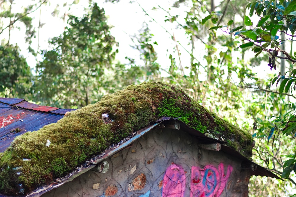 a roof with moss growing on top of it