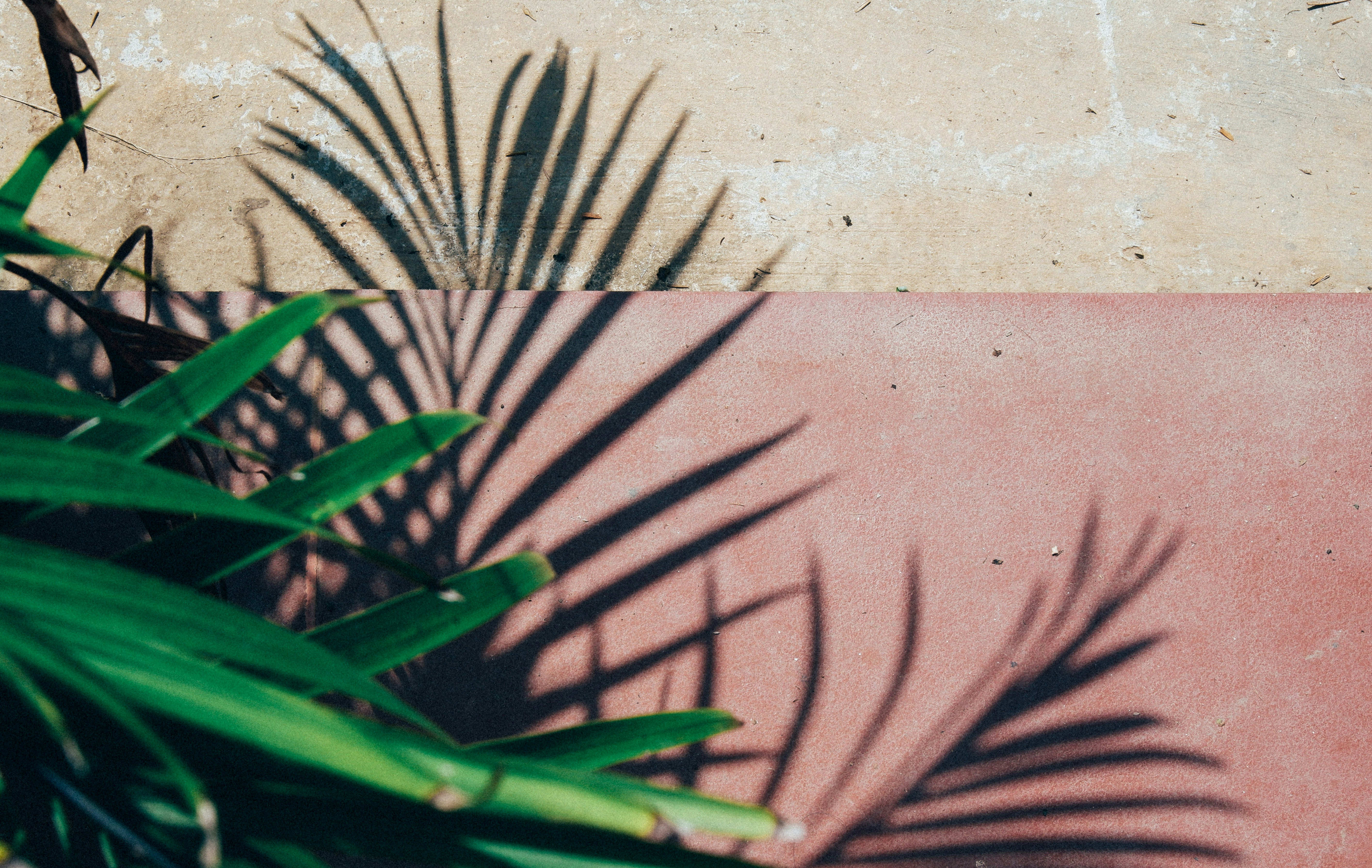 Photo by ryanduong94