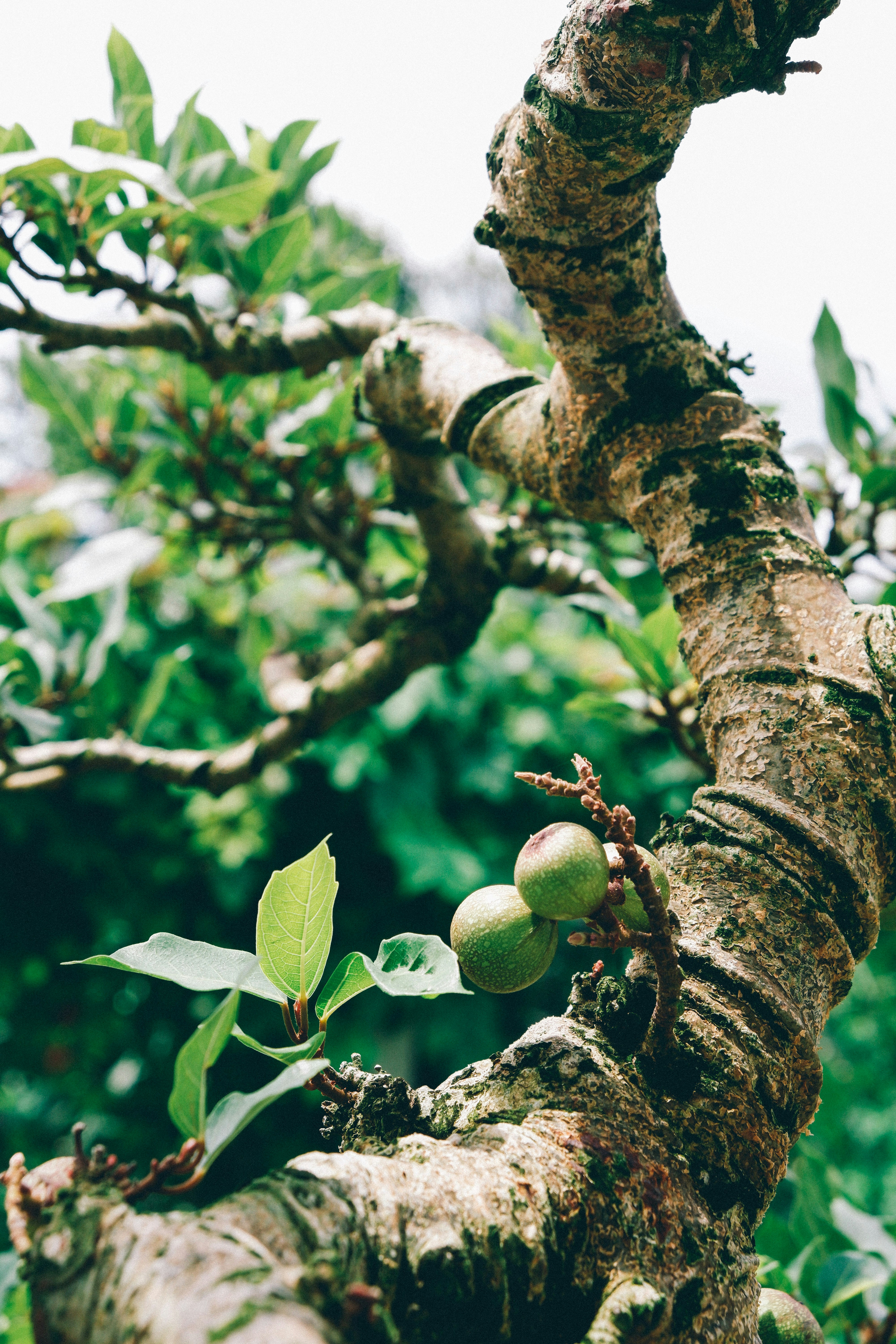 Photo by ryanduong94