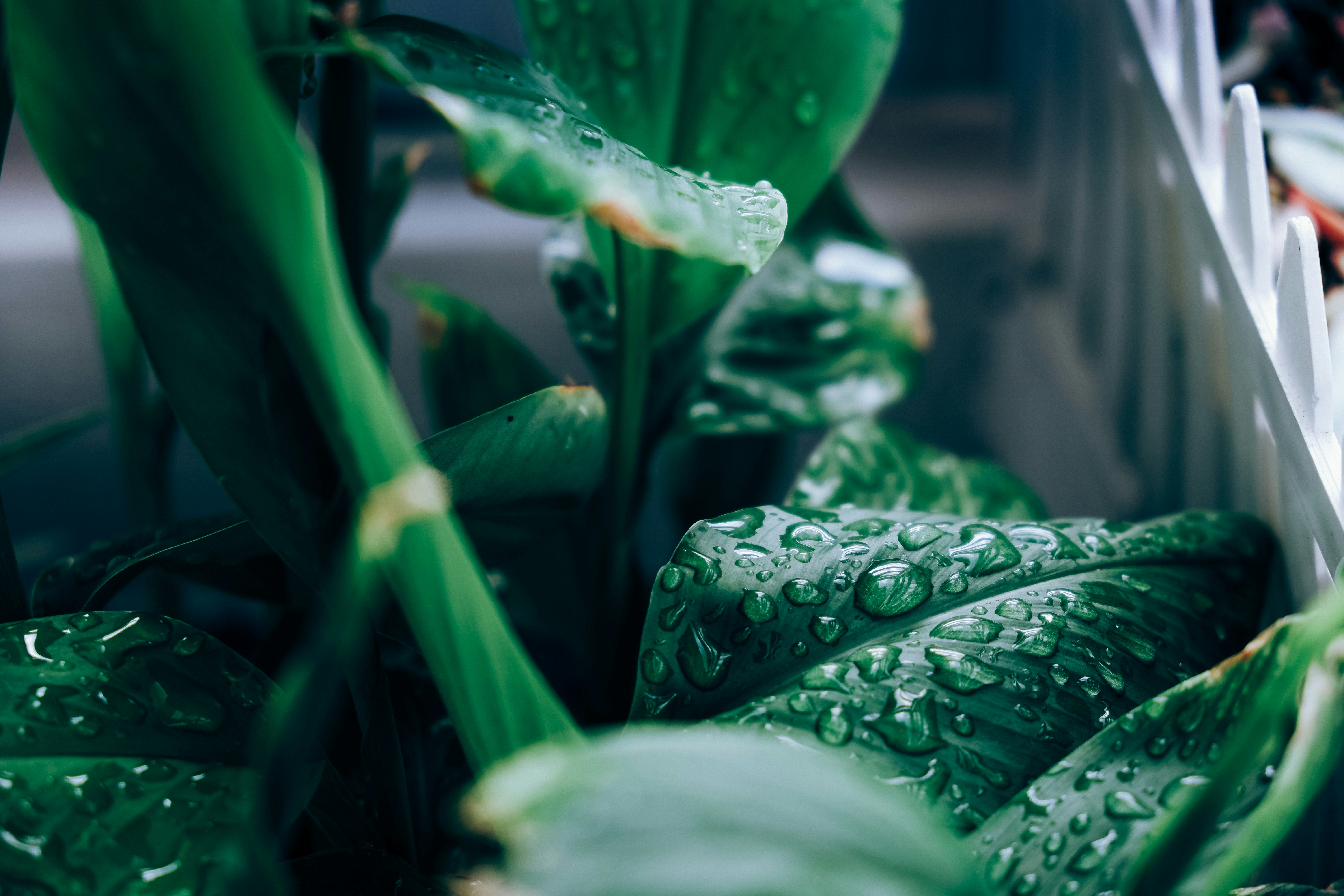 Photo by ryanduong94