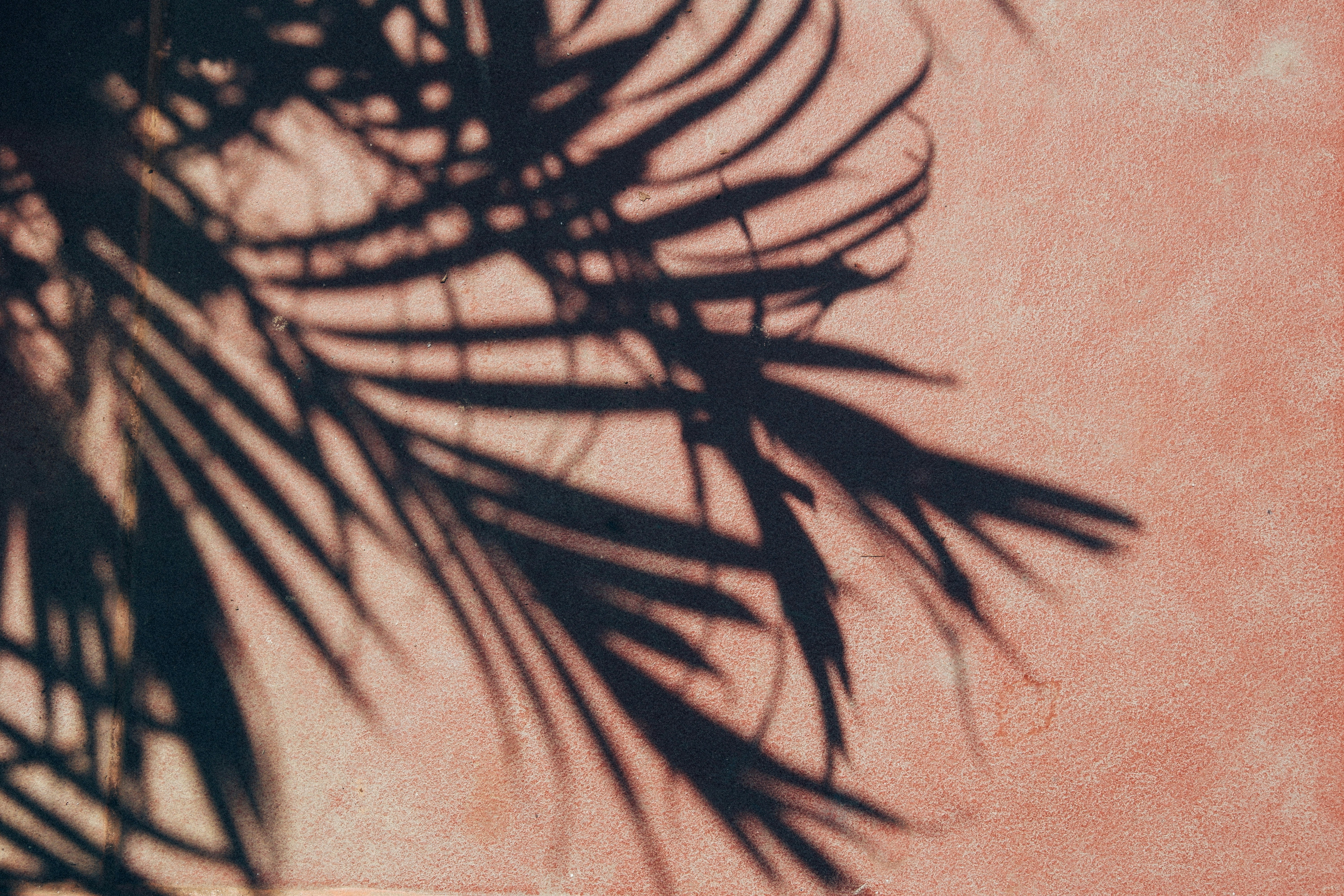 Photo by ryanduong94