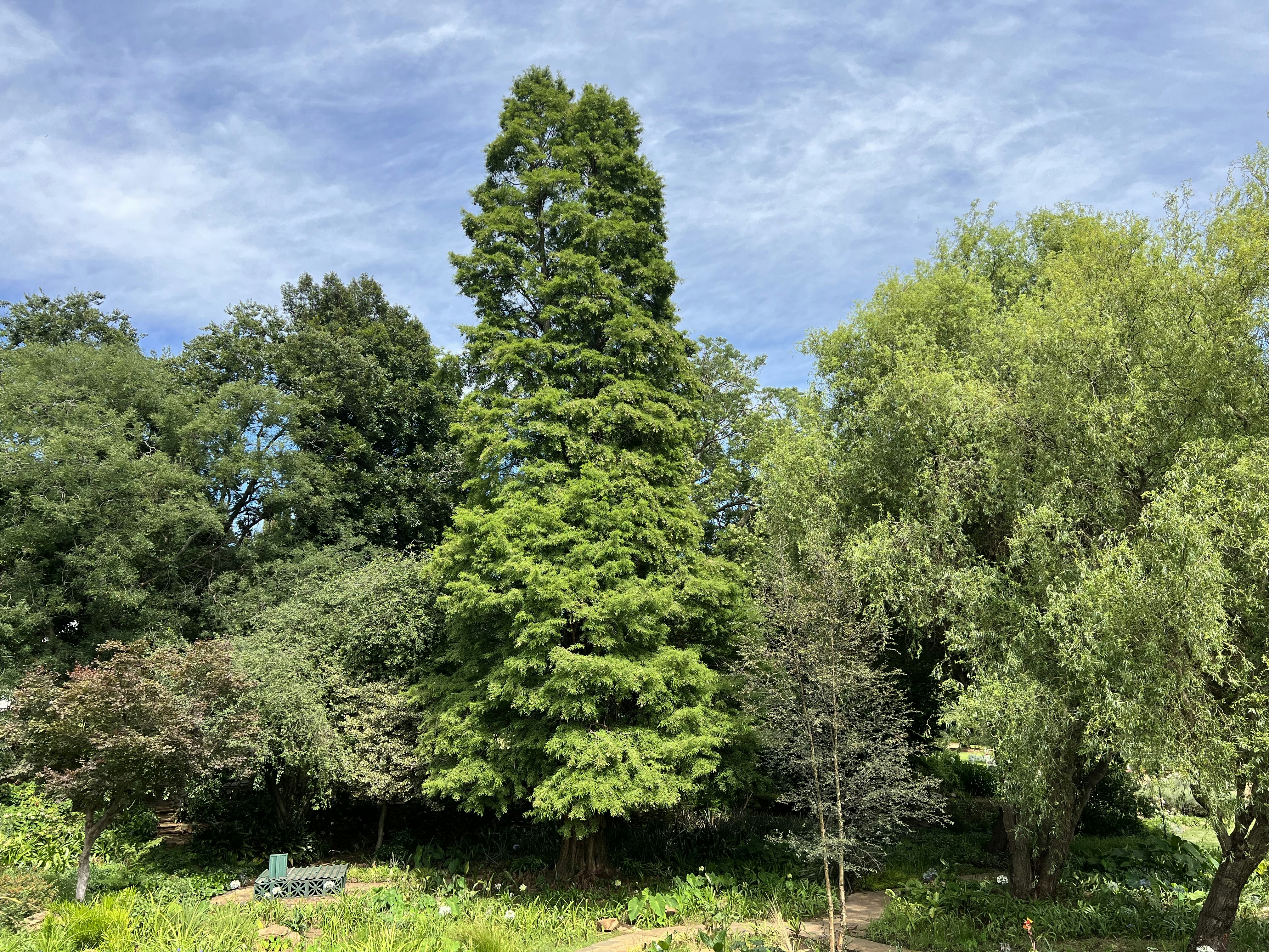 black and brown leather padded tub sofa