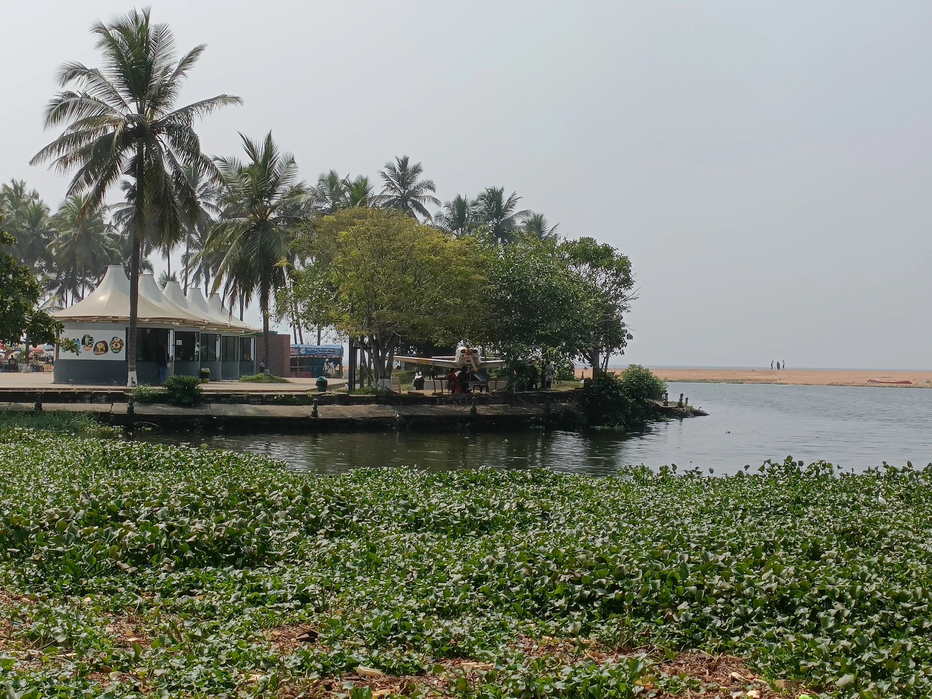 Visitors enjoying a peaceful moment by the water's edge, with tropical plants in the background.