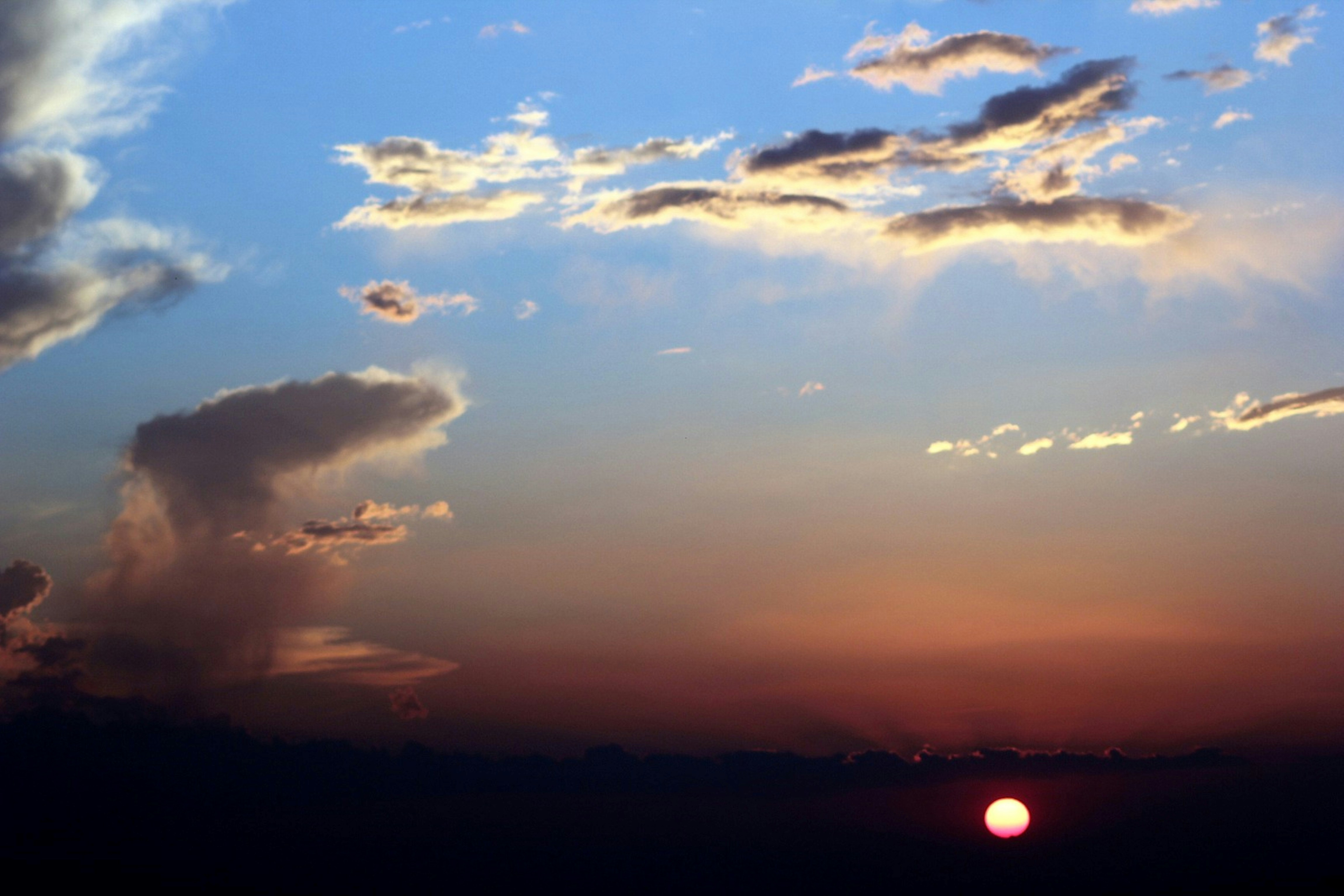 Photo by craigmanners_com