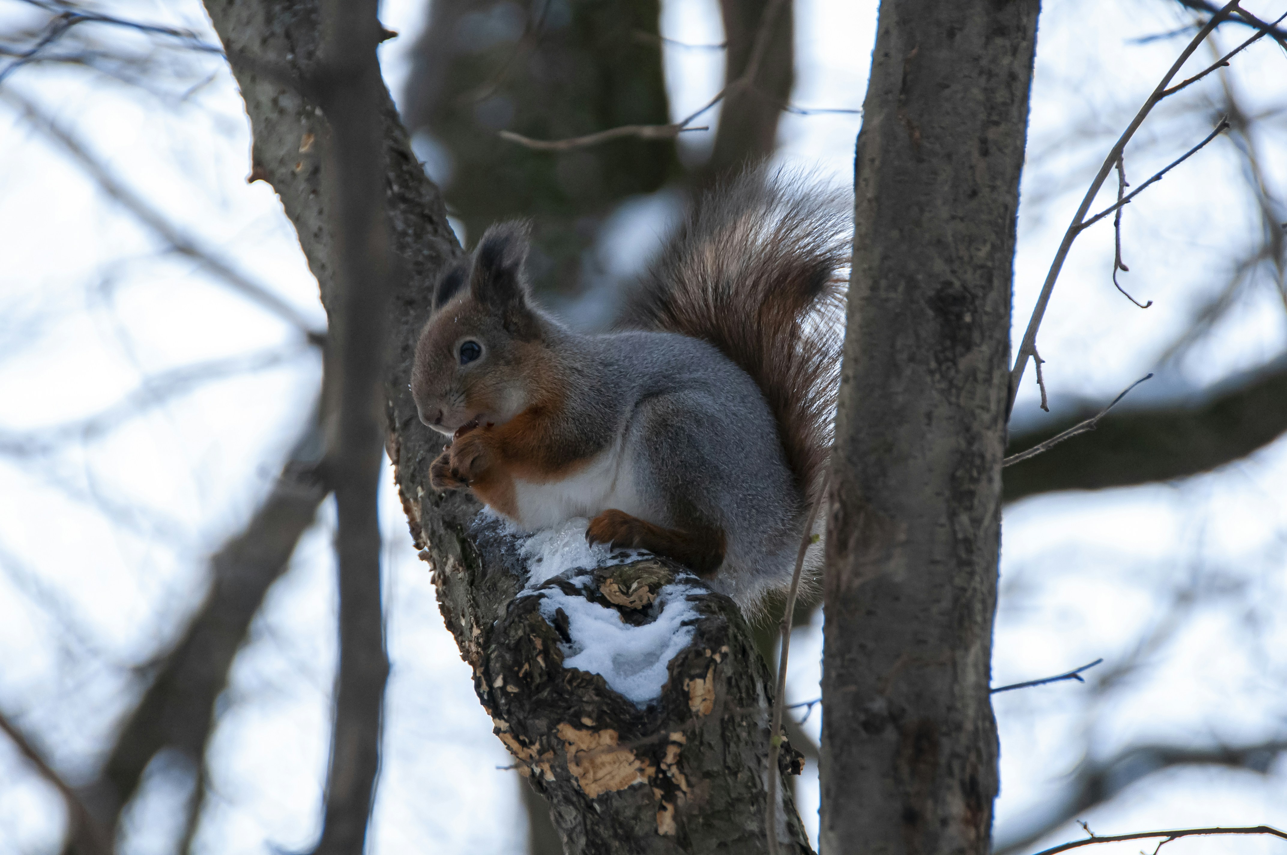 Photo by nikkitenkos