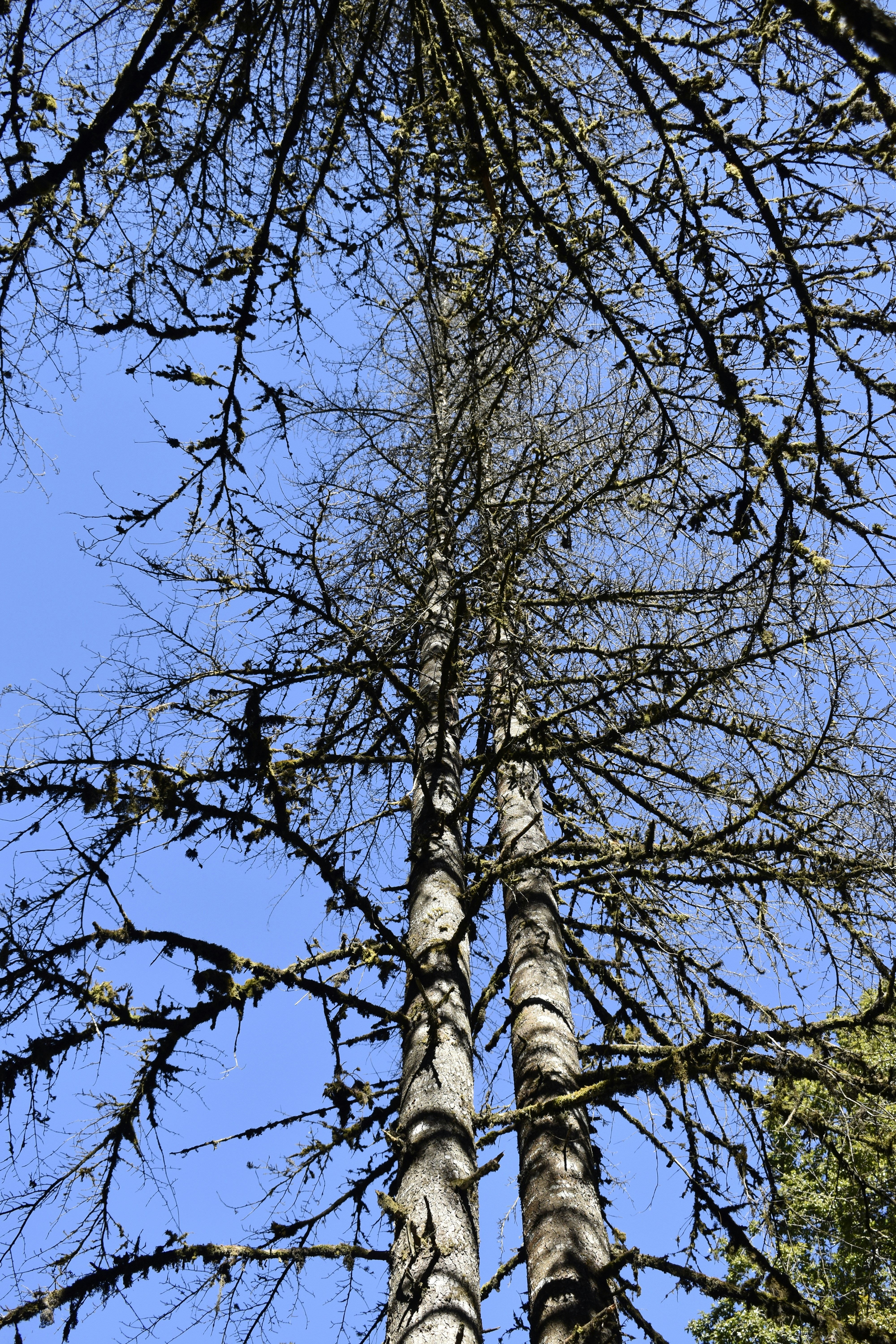 Photo by authordeepakgupta