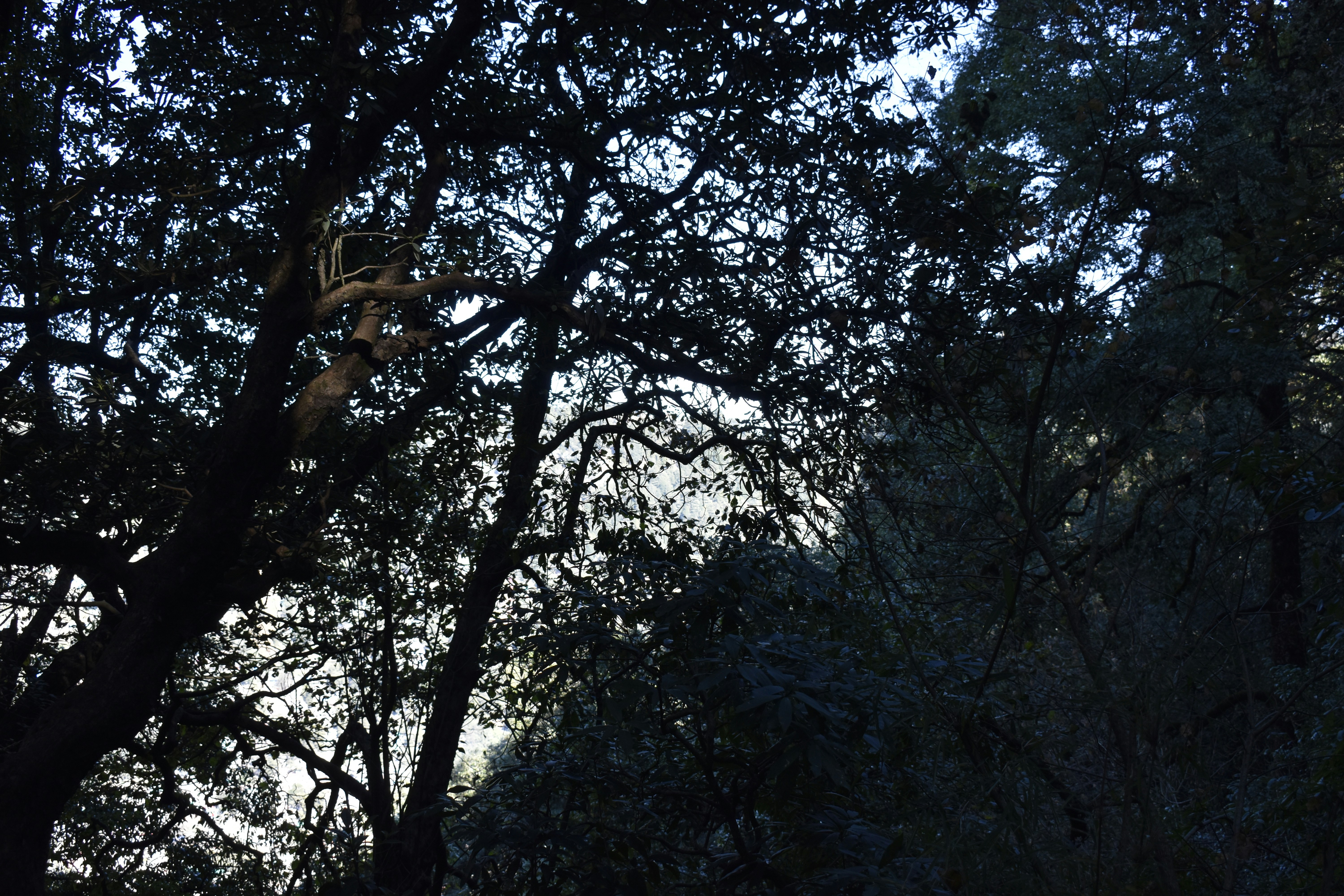 Photo by authordeepakgupta