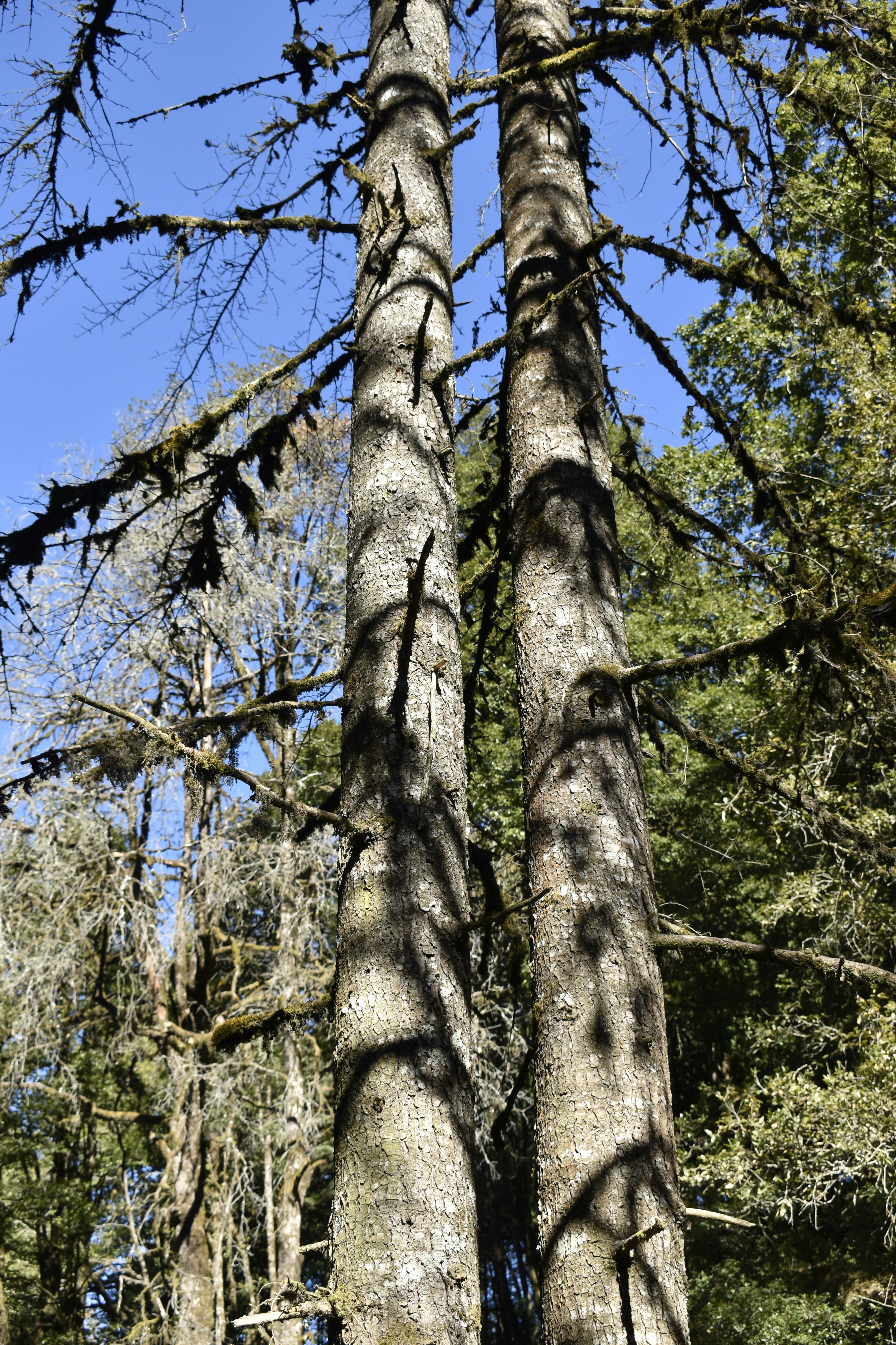 Photo by authordeepakgupta