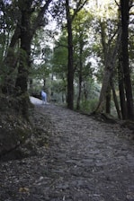 A serene traveler pausing on a winding path surrounded by lush landscapes, embodying thoughtful exploration.
