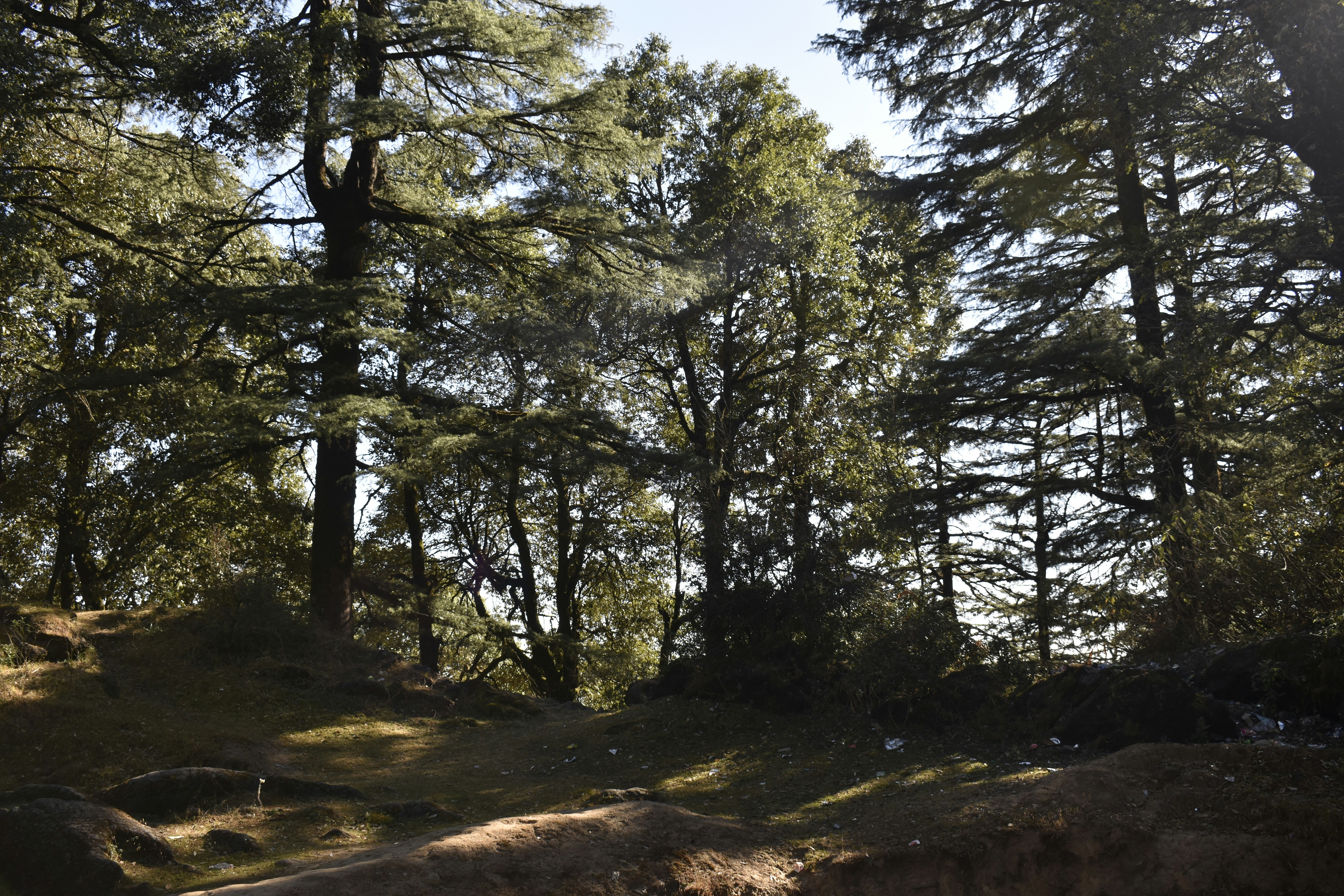 Photo by authordeepakgupta