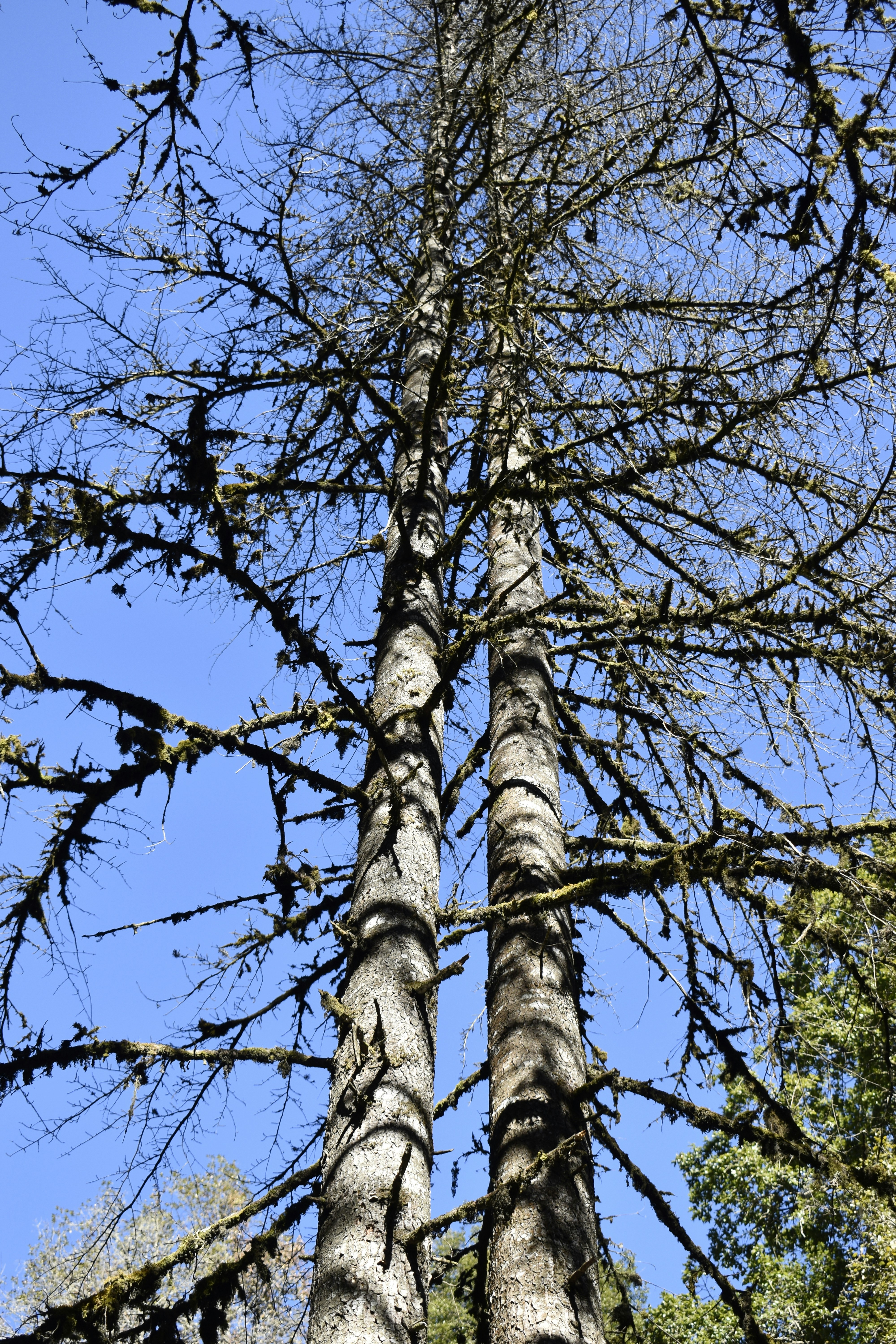 Photo by authordeepakgupta