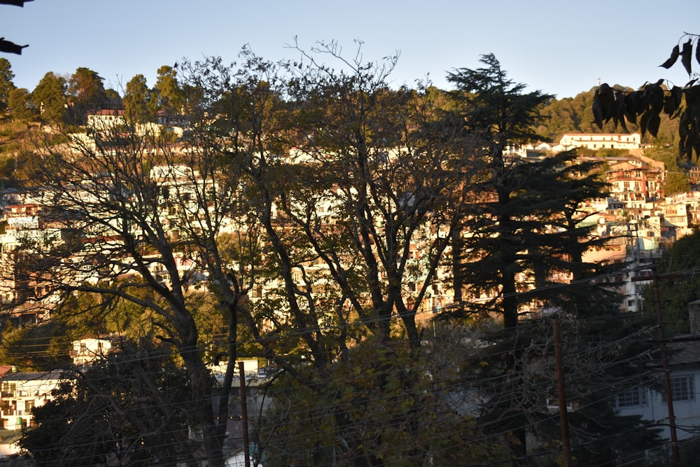 a view of a city with lots of trees in the foreground