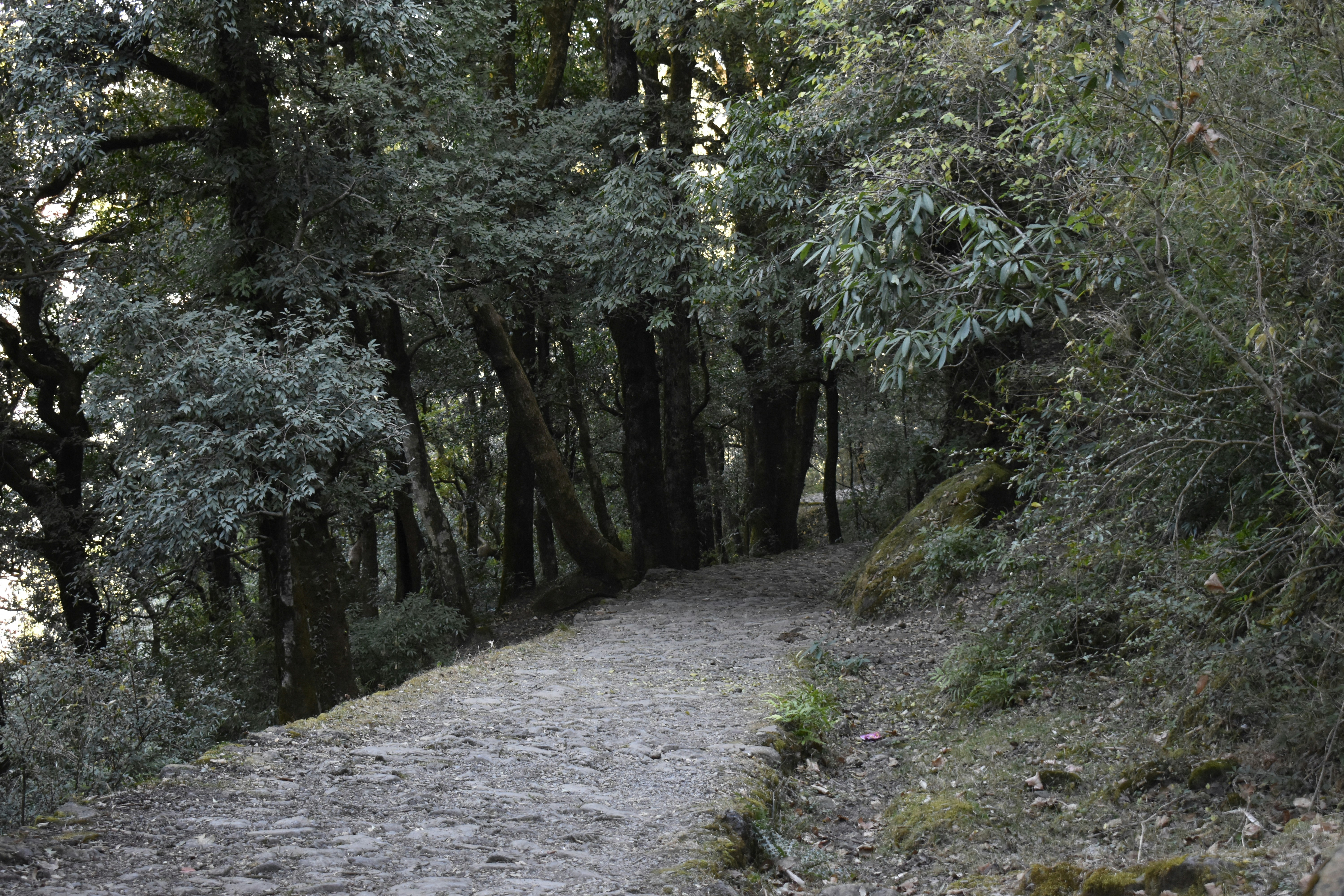 Photo by authordeepakgupta