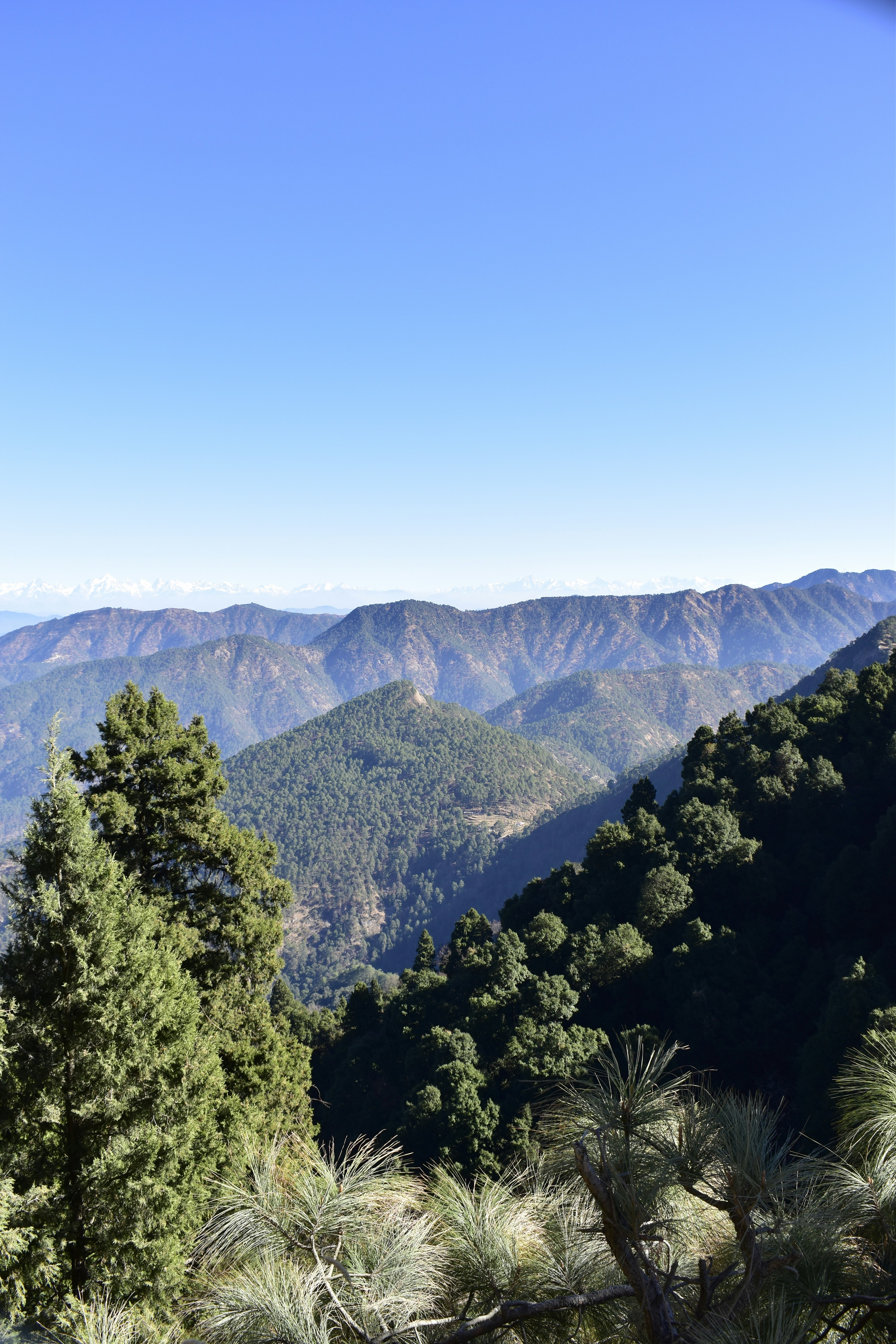 Photo by authordeepakgupta