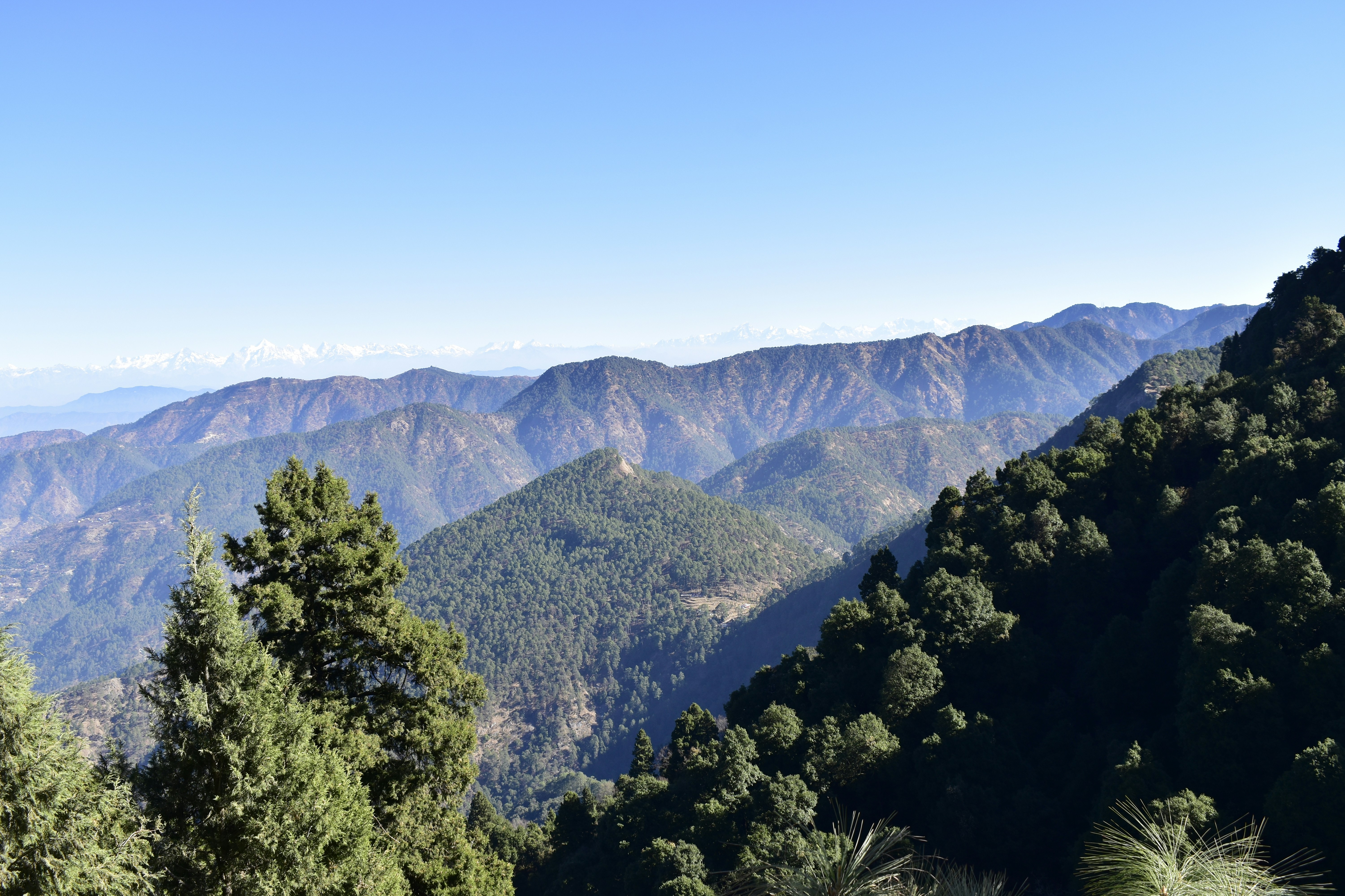 Photo by authordeepakgupta