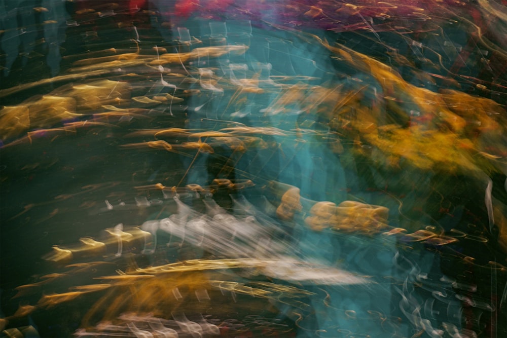 uma foto borrada de um monte de peixes na água