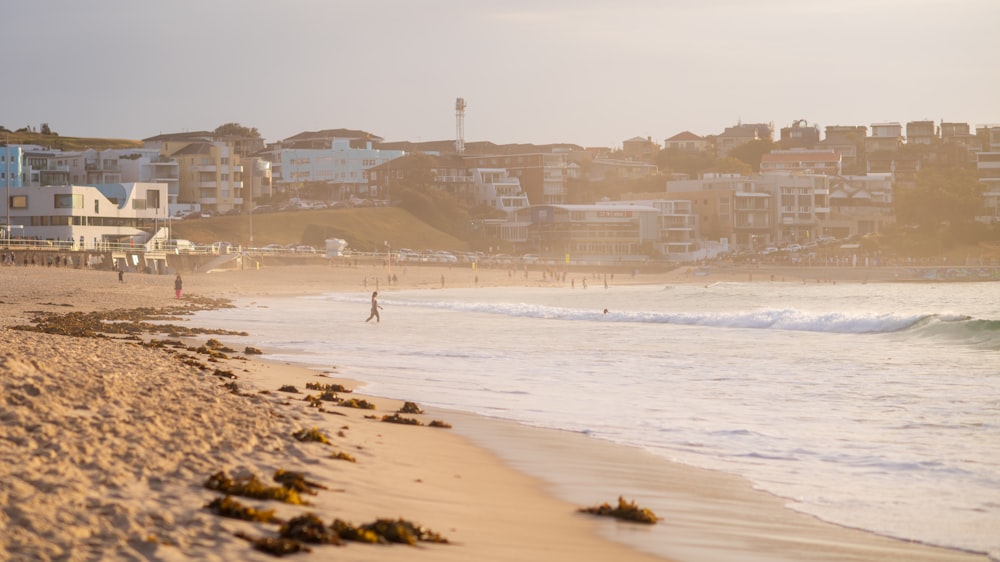 a person walking on a beach next to the ocean