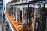A row of glass jars with cork lids lined up on a wooden shelf, each containing various dried herbs or spices. The jars and contents create a textured and colorful display. The setting appears to be indoors, possibly in a store or kitchen.