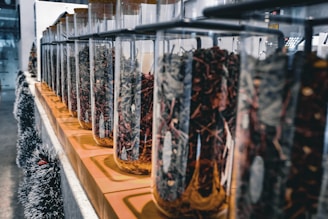 A variety of spices and herbs in glass jars on a shelf.