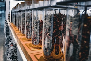 A row of glass jars with cork lids lined up on a wooden shelf, each containing various dried herbs or spices. The jars and contents create a textured and colorful display. The setting appears to be indoors, possibly in a store or kitchen.