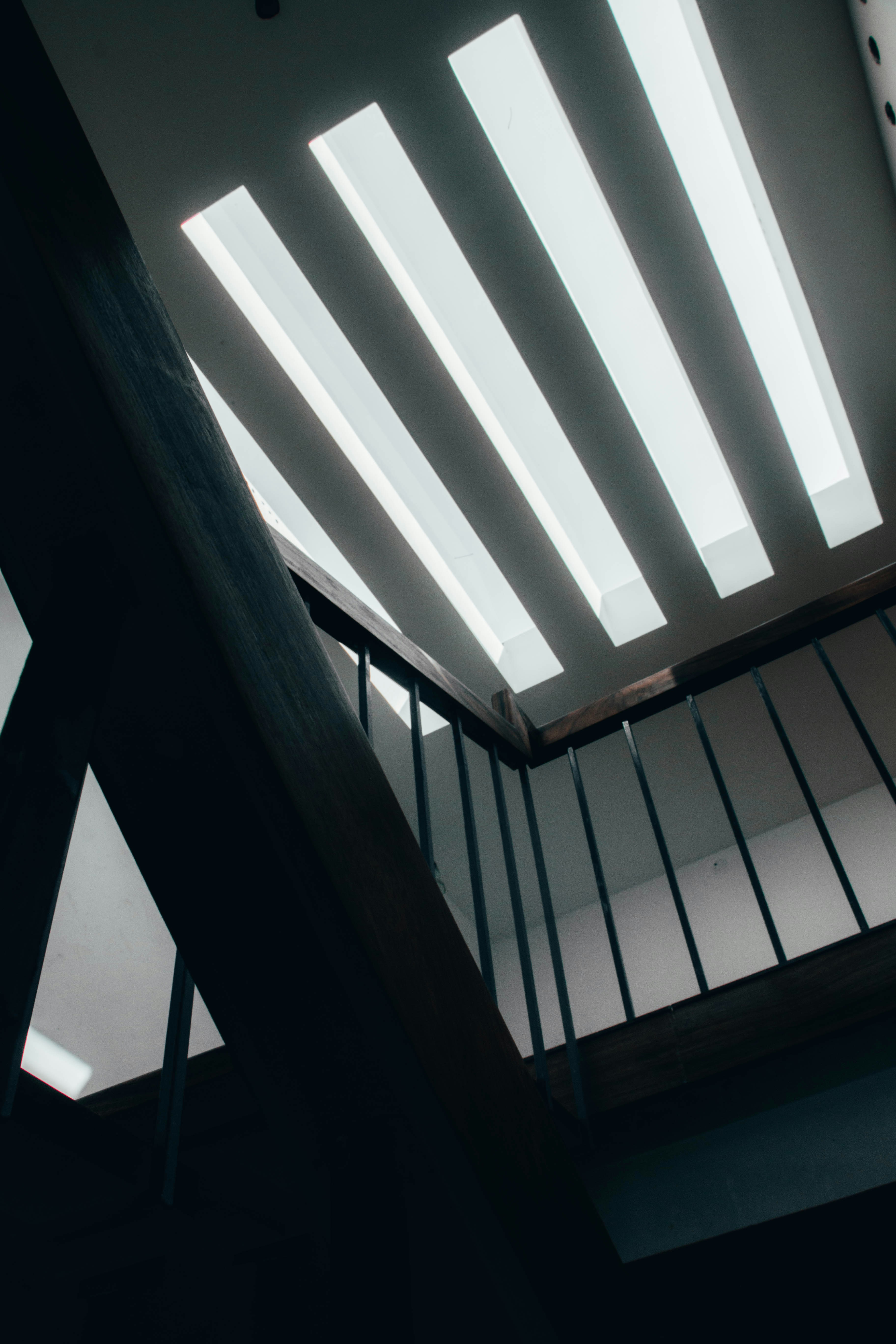 Photo by rishabh_mathew