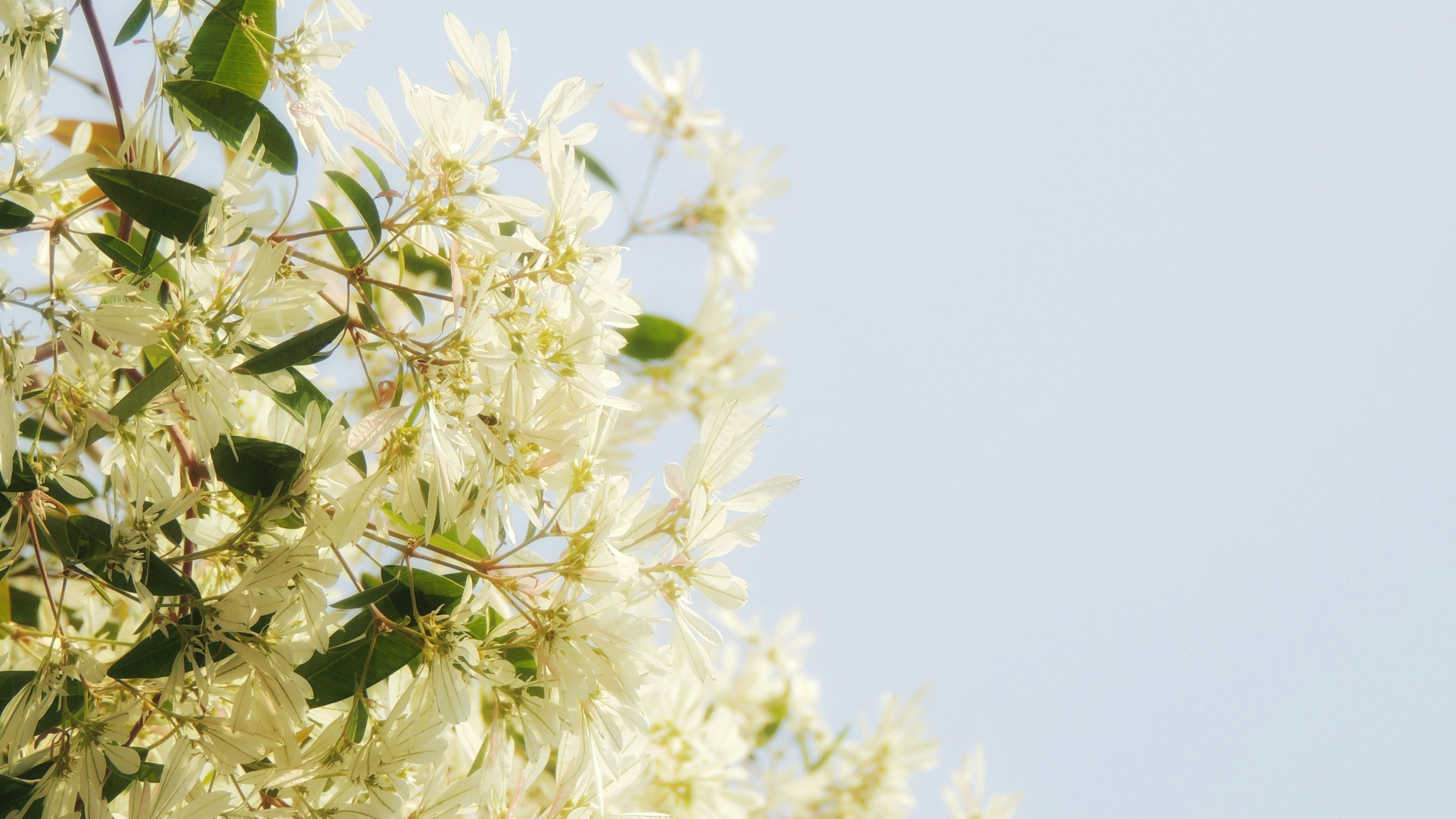 Photo by tetrawastaken