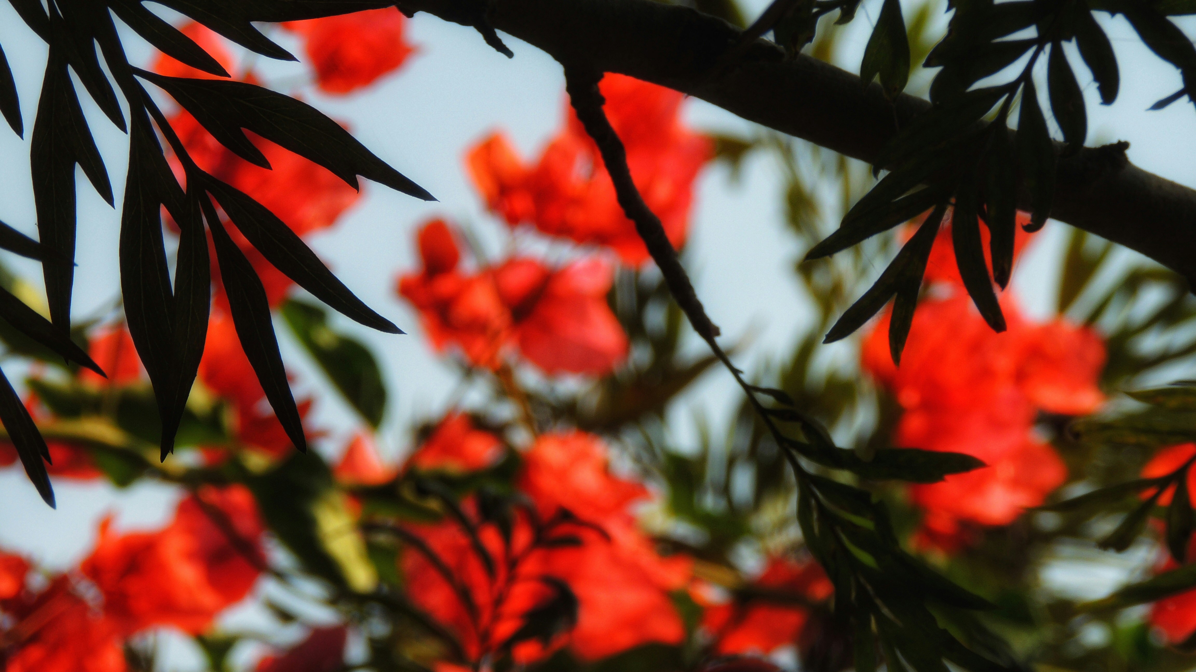 Photo by tetrawastaken