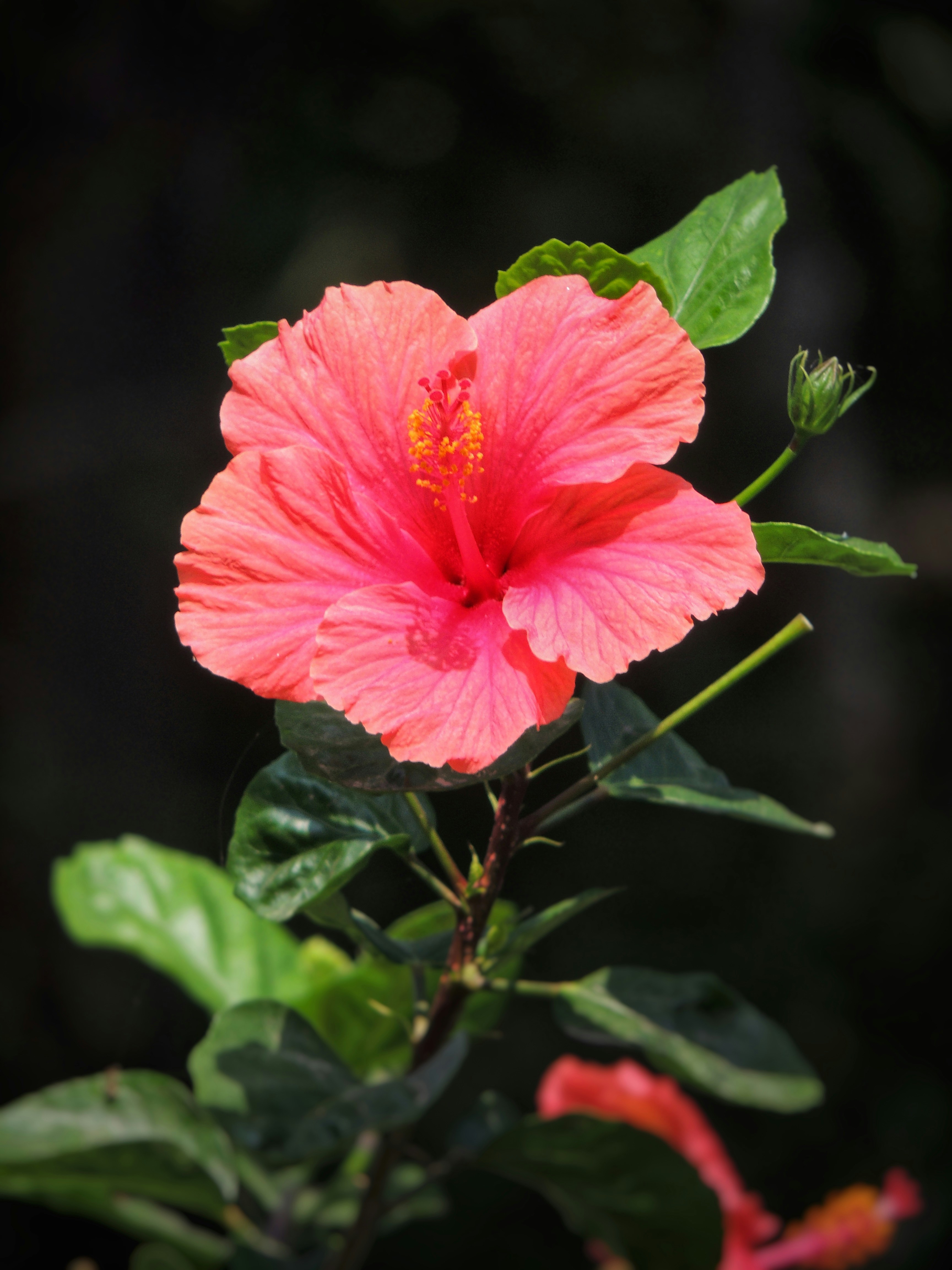 Photo by tetrawastaken