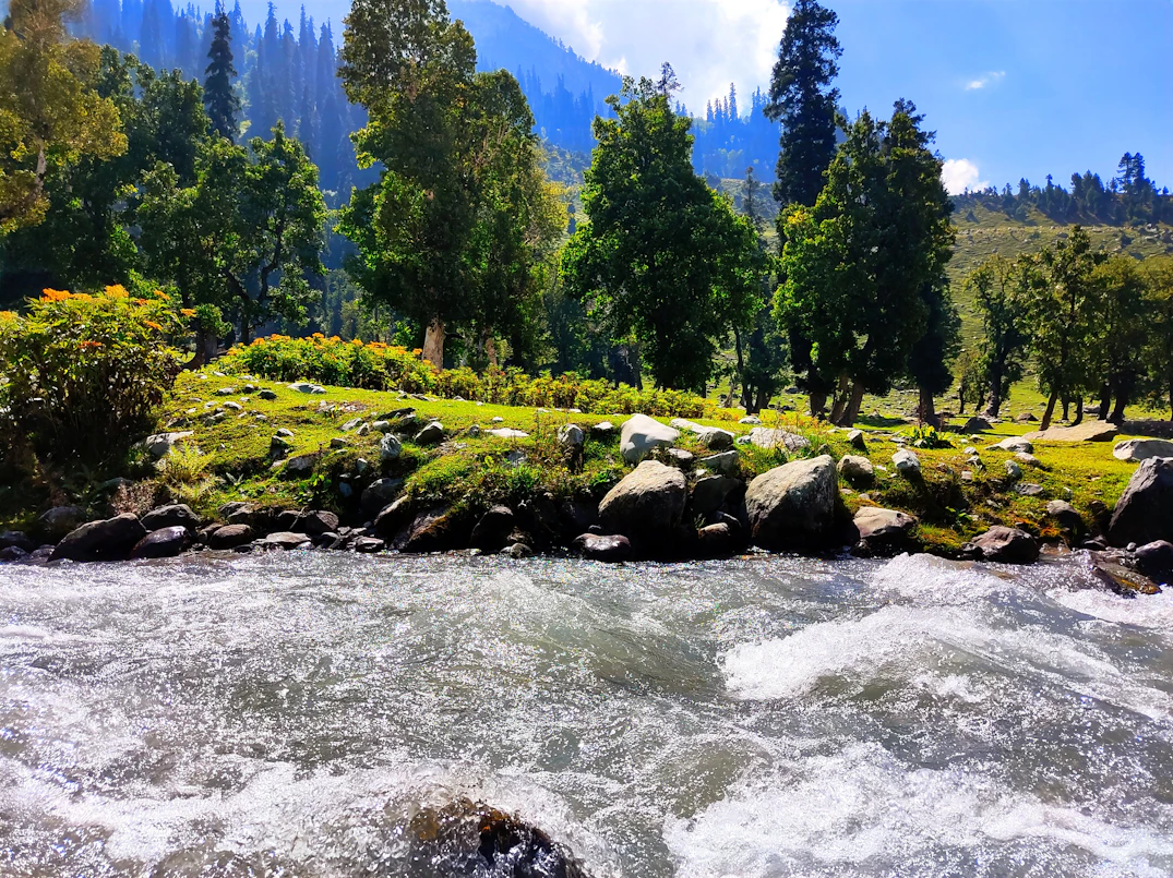 Kashmir winter scenery – Vellfire Holidays