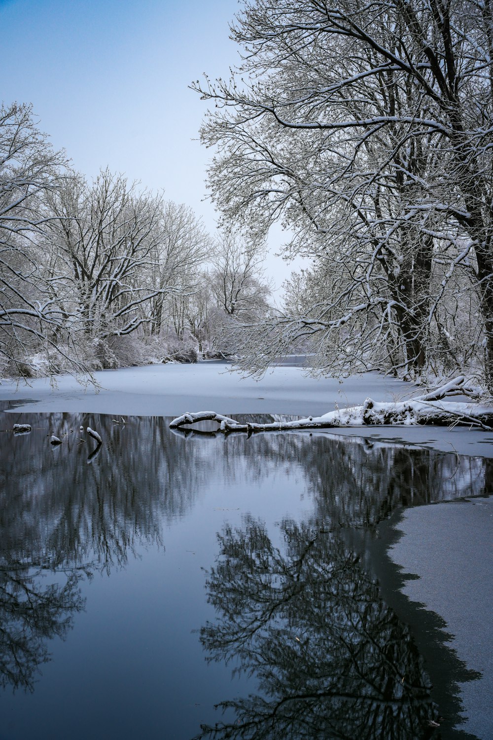 a lake surrounded by trees covered in snow