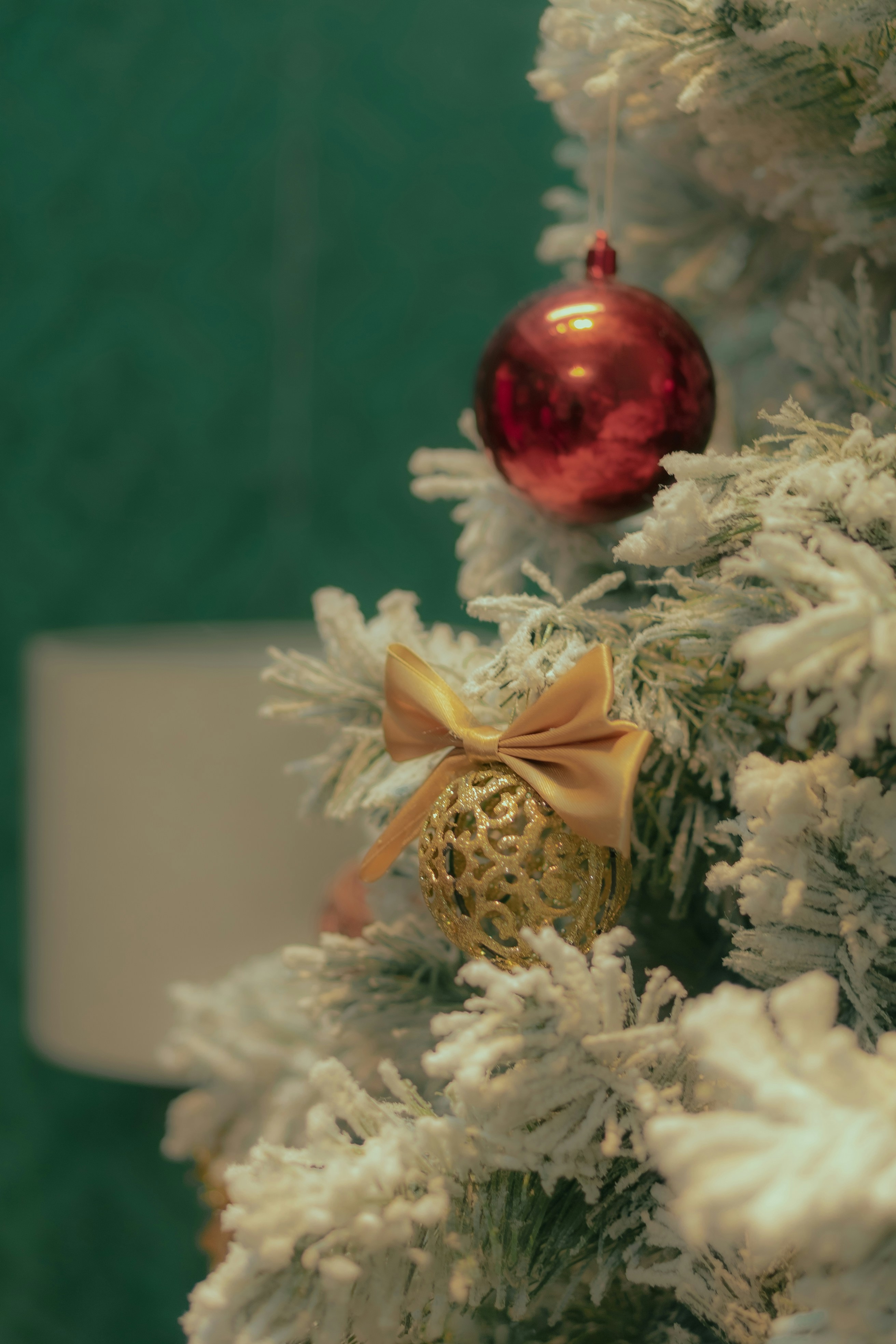 Photo by subeonguyendang