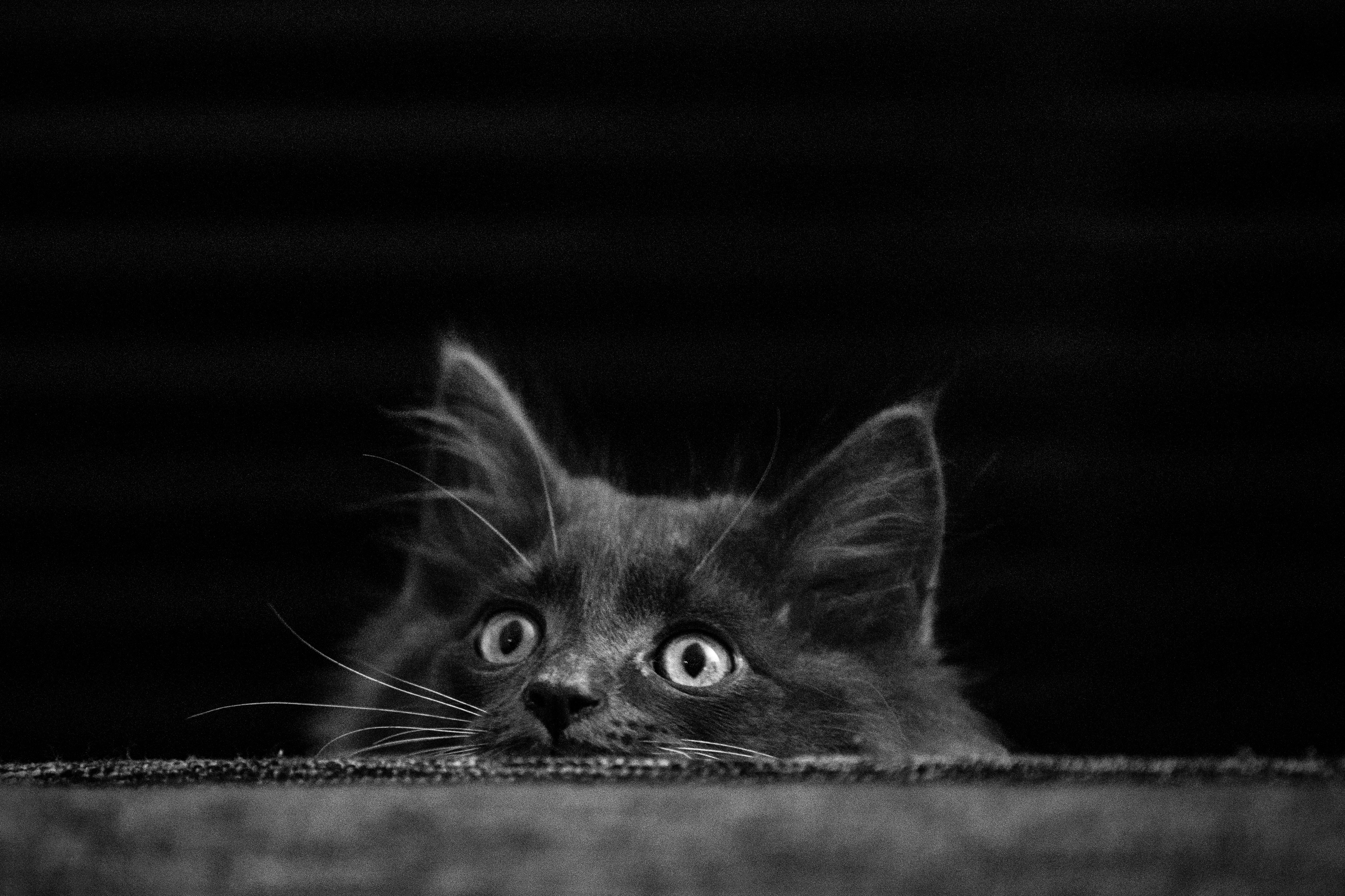 Negative Associations: Ghosts of the Past (image credits: unsplash)