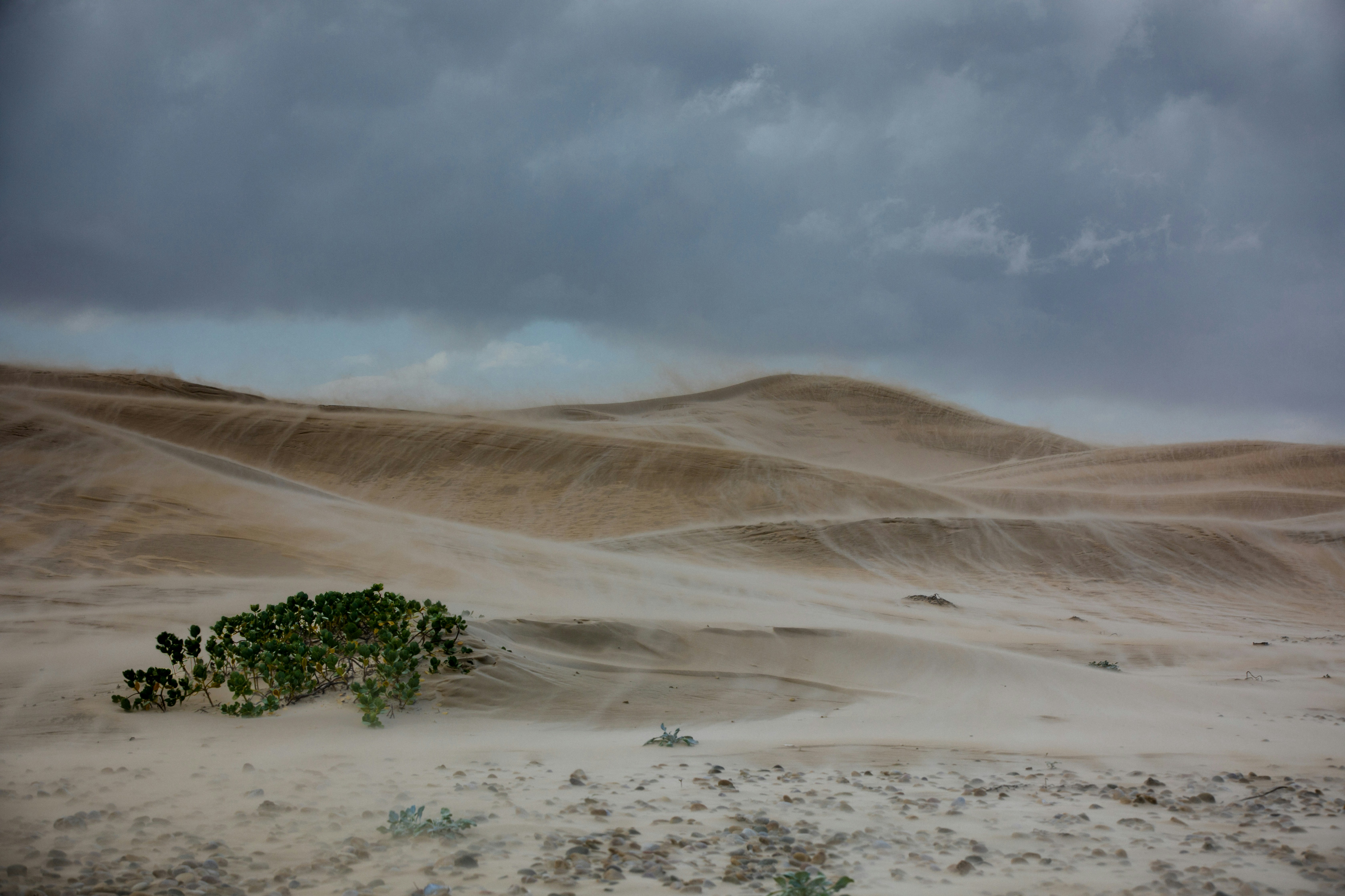 Photo by derasmus