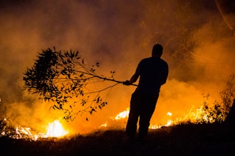a man holding a stick in front of a fire