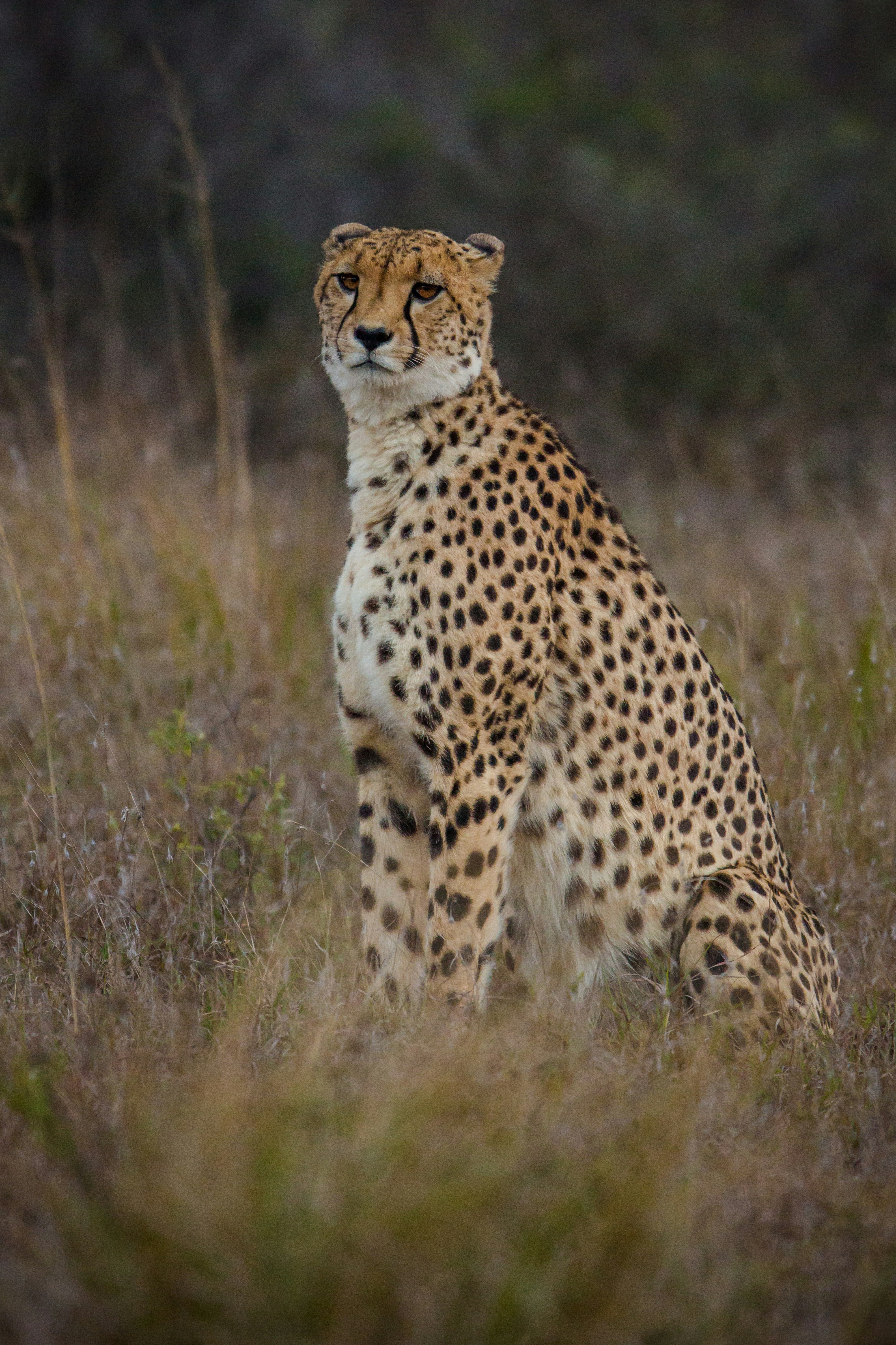 The Sound of Silence (image credits: unsplash)