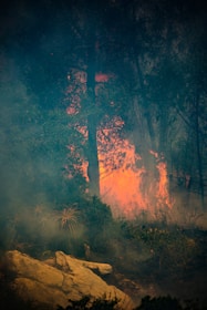 a fire blazing in a forest with rocks and trees