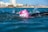 A swimmer in a body of water is wearing a bright pink swim cap with a cartoonish face and large white teeth design. The swimmer is in mid-stroke, splashing water around, with the cityscape and buildings visible in the distant background.