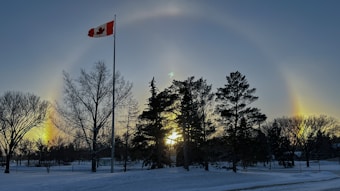 A Canadian flag flies atop a pole in a snowy landscape, with a halo effect visible in the sky around the sun, which is partially obscured by tall trees.