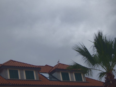 A building with red-orange roof tiles and green window shutters under a cloudy sky. A large palm tree is on one side, and a single bird is perched on the rooftop.