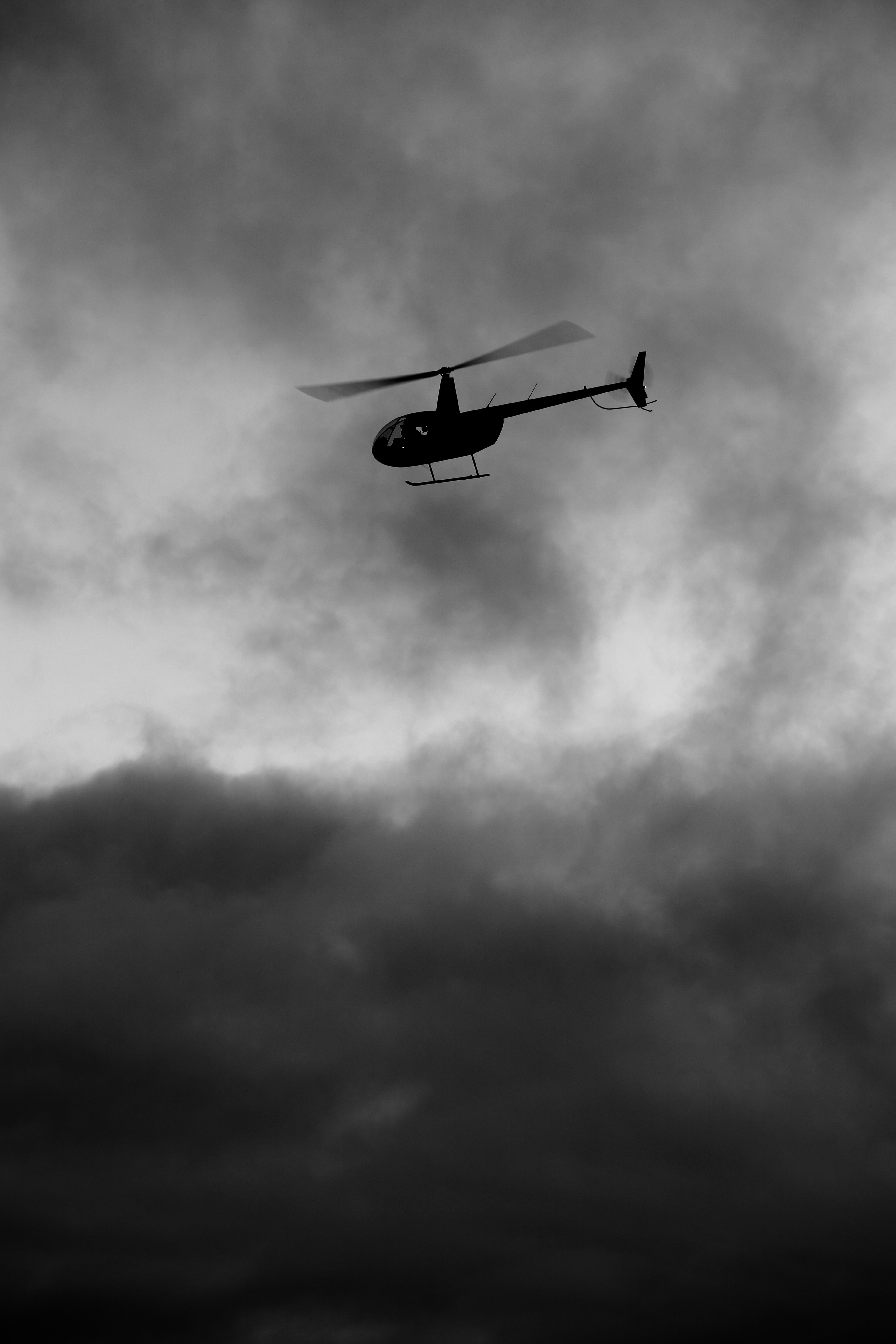 A small plane flying through a cloudy sky photo – Free Animal Image on ...